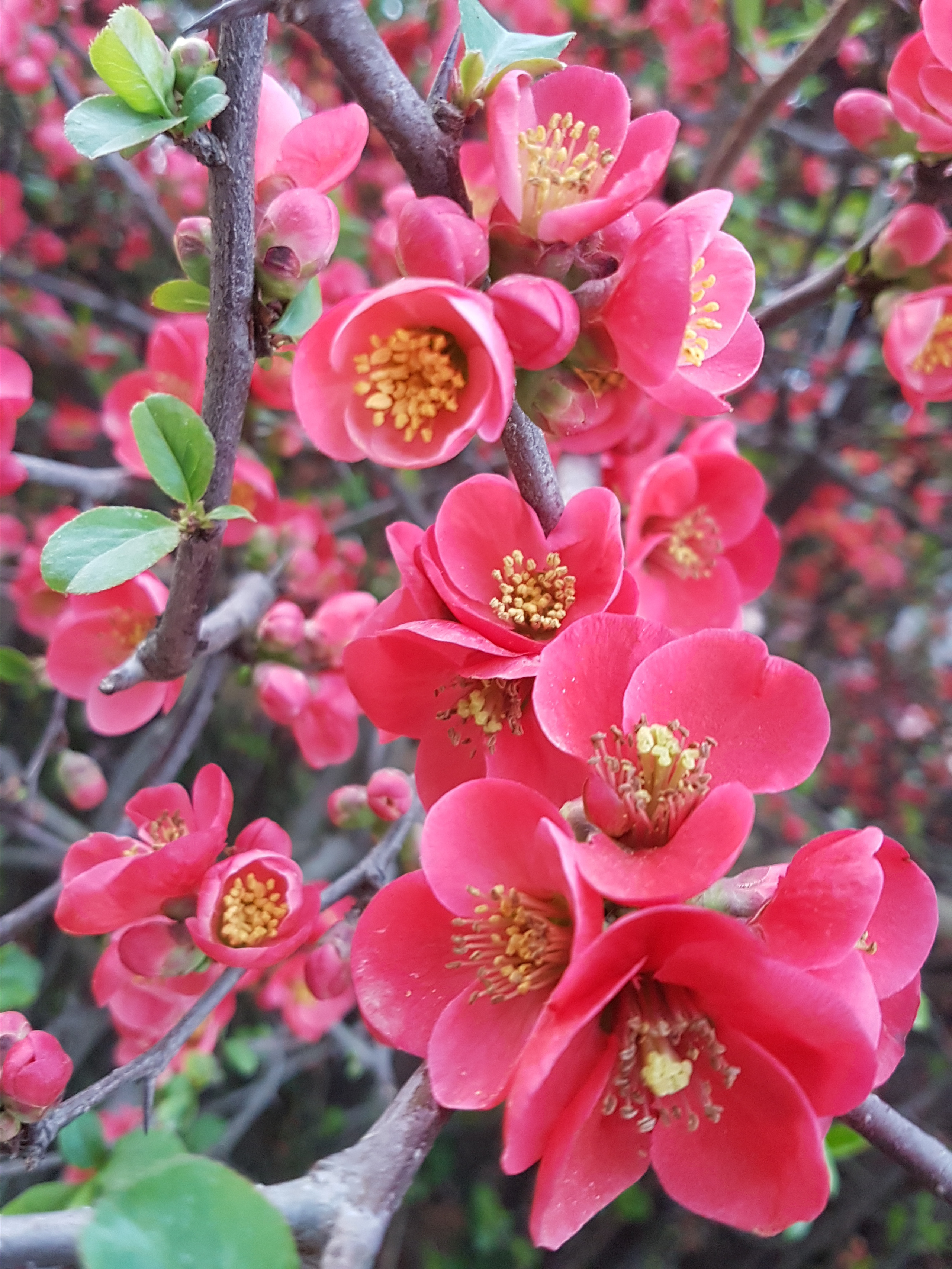 События. OneSnap