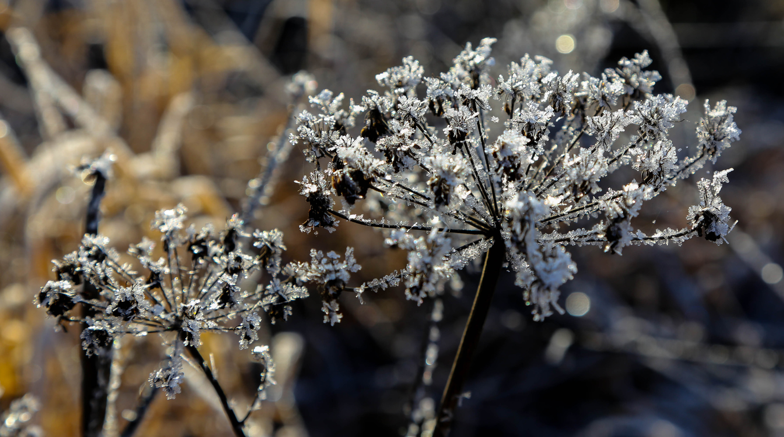 Пейзаж. OneSnap