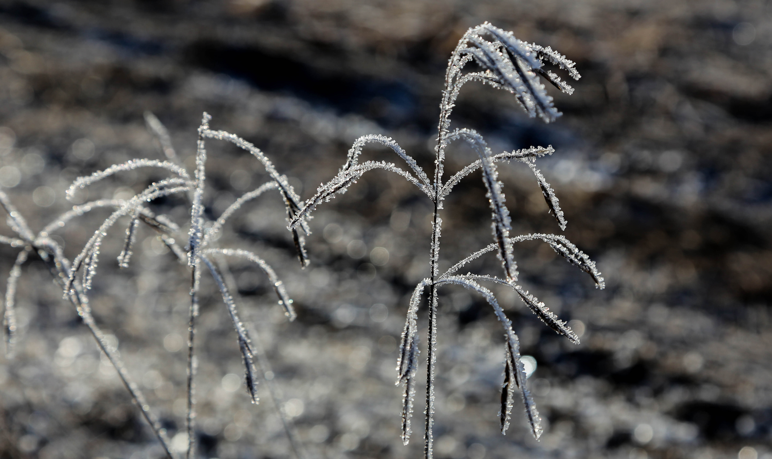Пейзаж. OneSnap