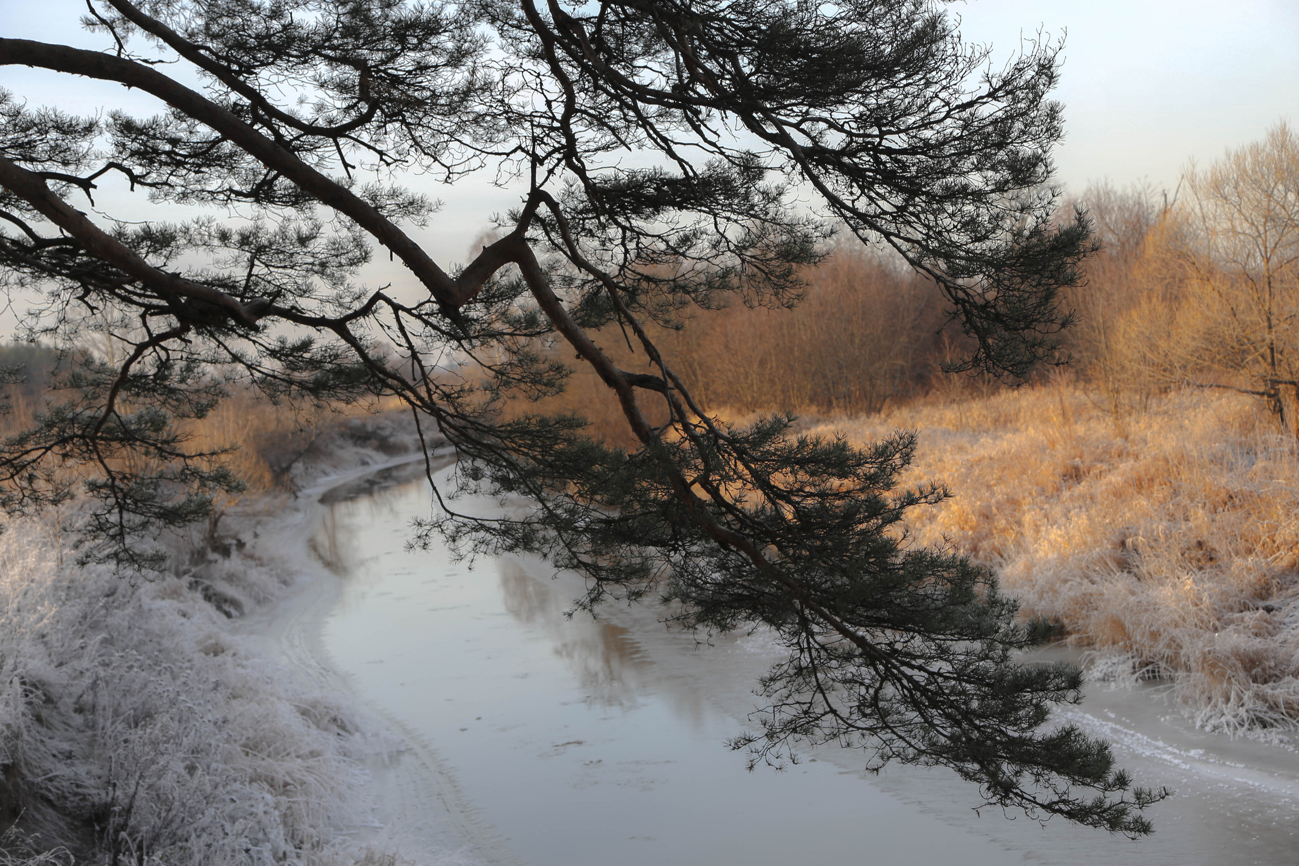 Пейзаж. OneSnap