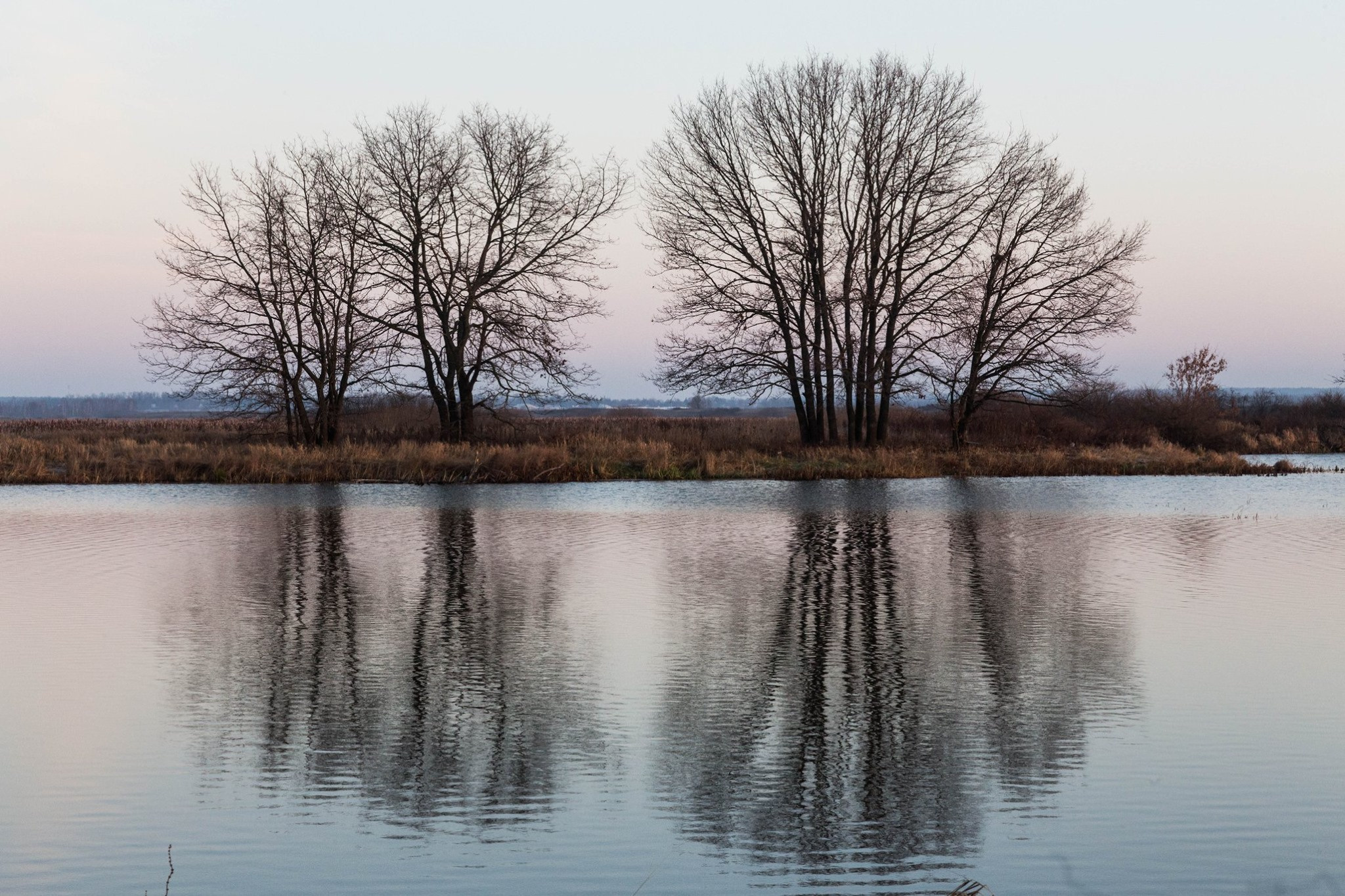 Пейзаж. OneSnap