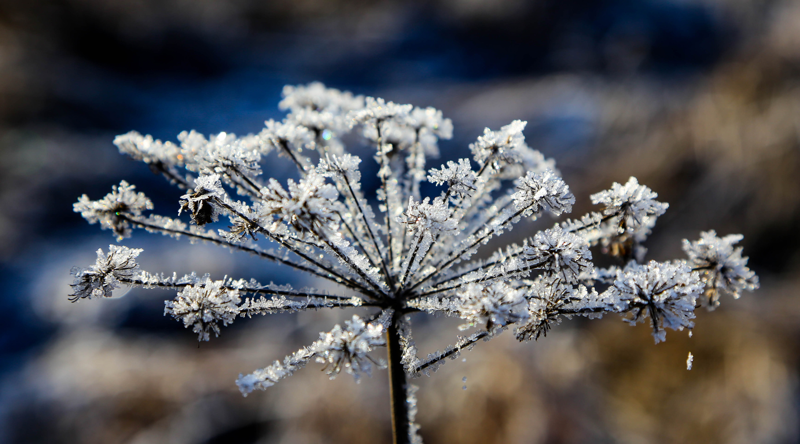 Пейзаж. OneSnap