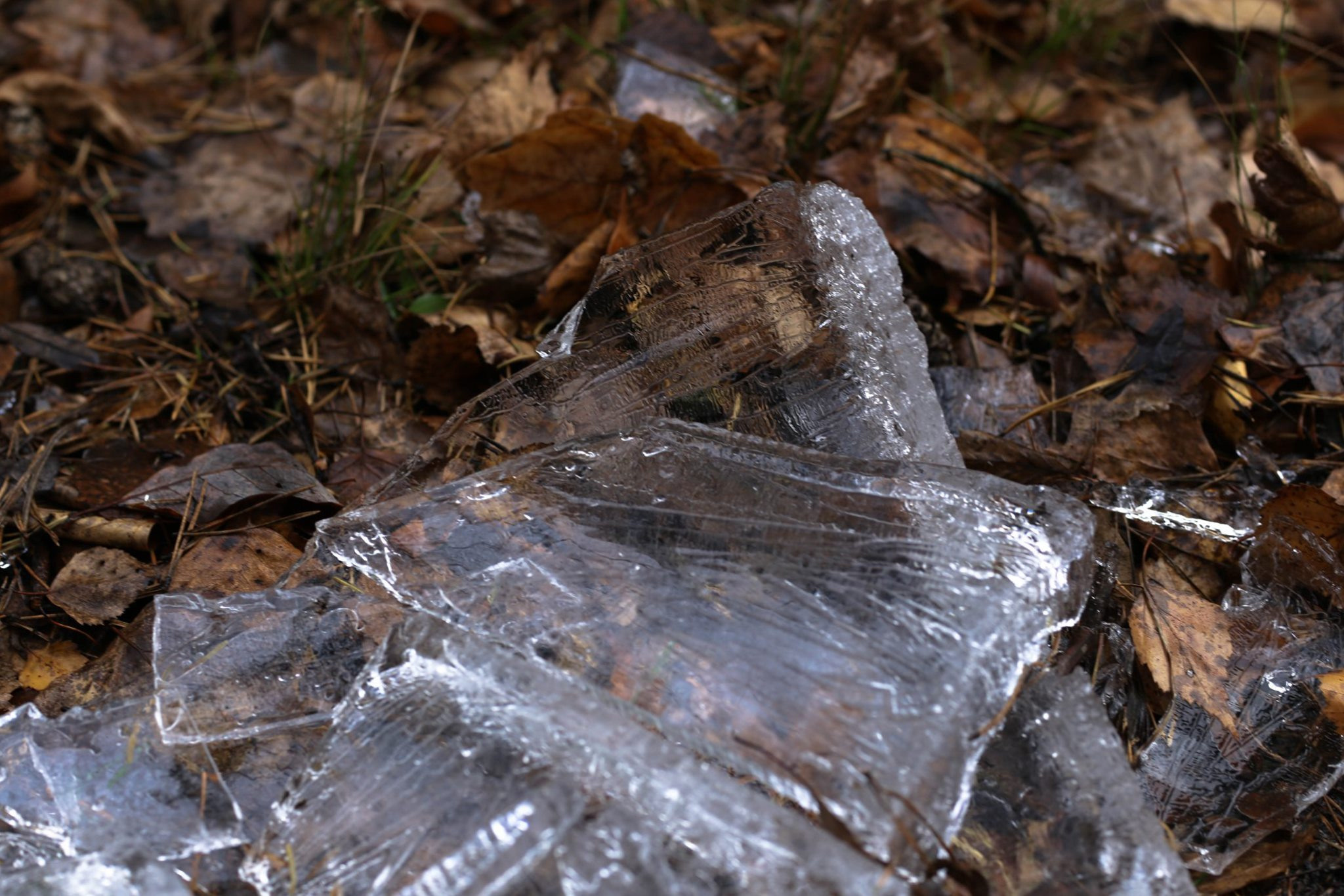 Пейзаж. OneSnap