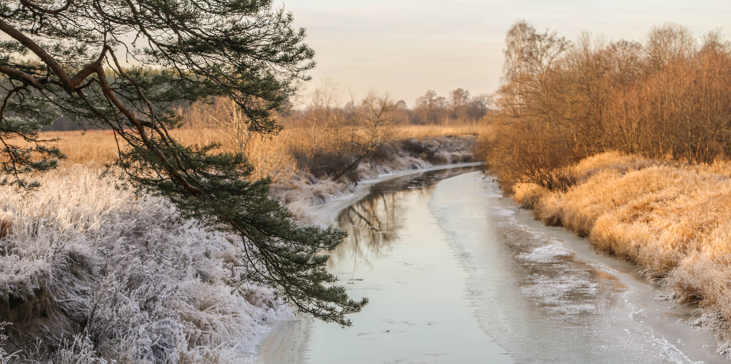 Пейзаж. OneSnap