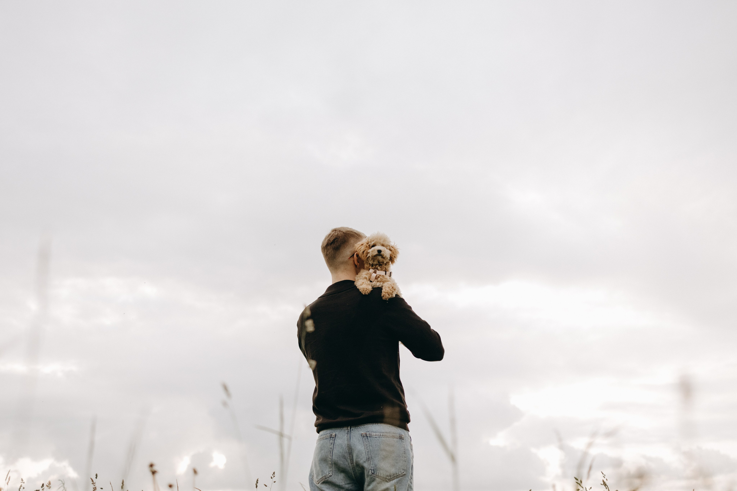 Мия и ее семья. Фотограф — Анималист | Санкт-Петербург