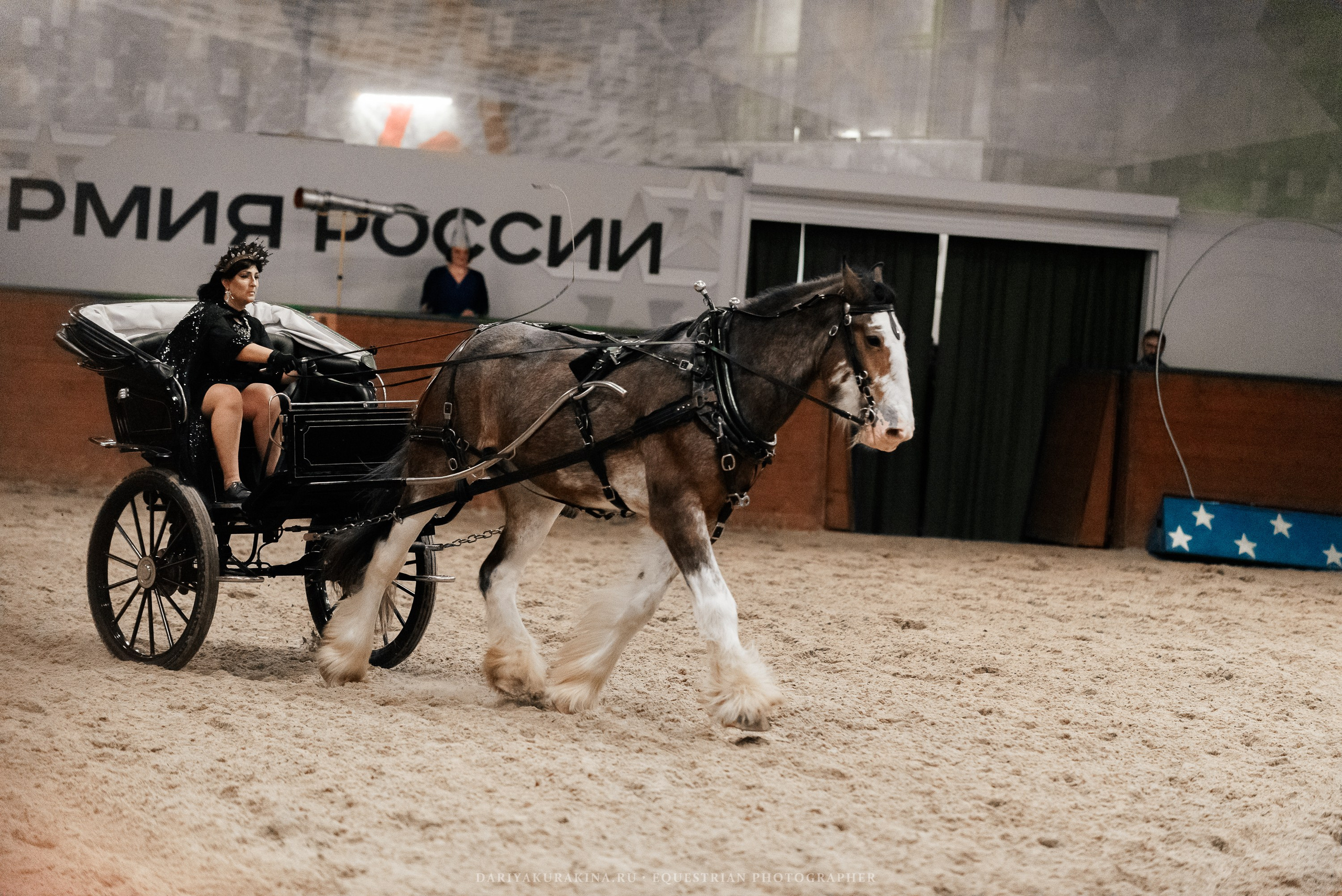 Конное представление «Дыхание Звёзд». Конный фотограф Куракина Дарья • Фотосессии с лошадьми