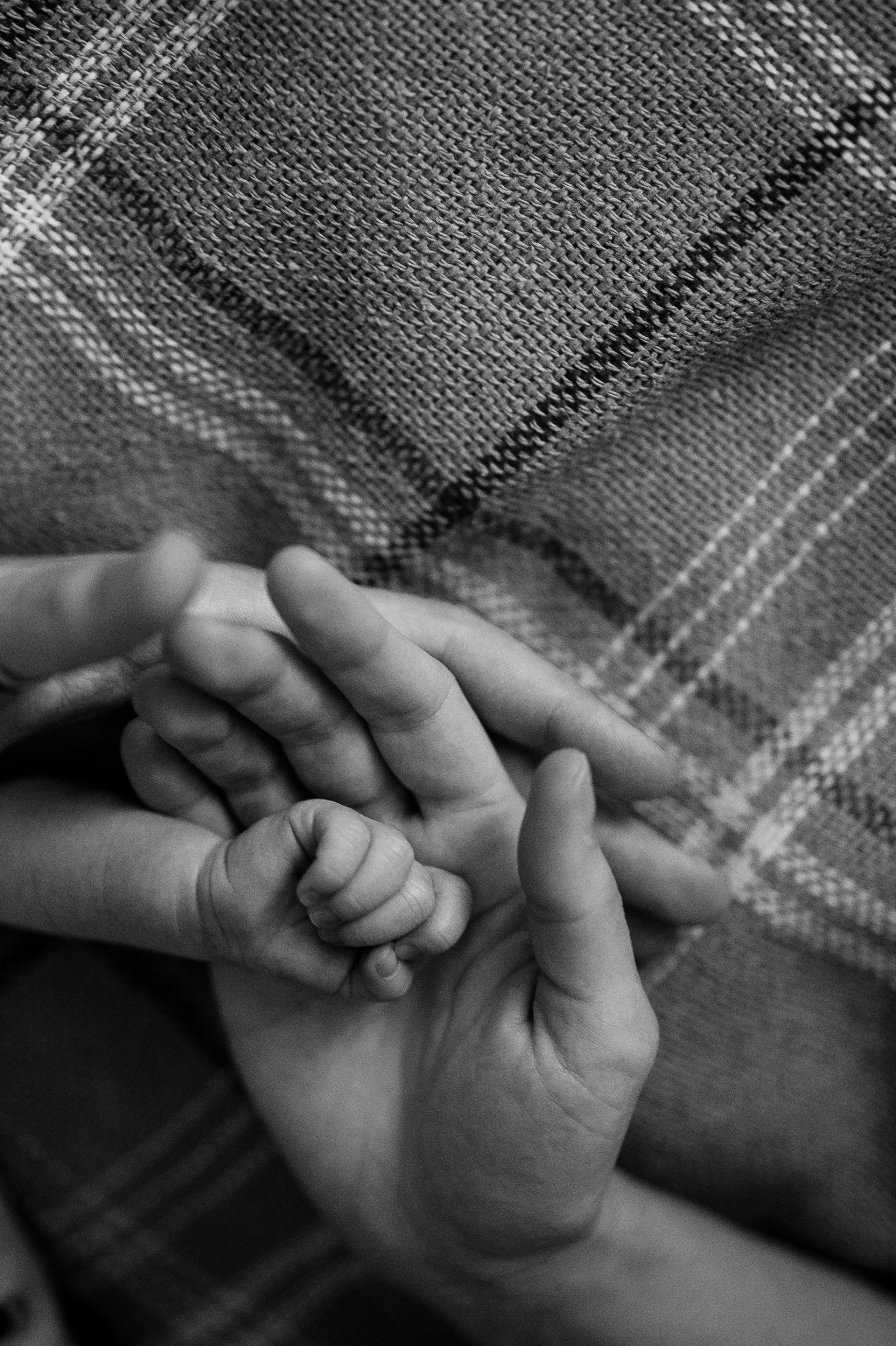 Андрей, Александра и Любочка. Фотограф Горбенко Анна