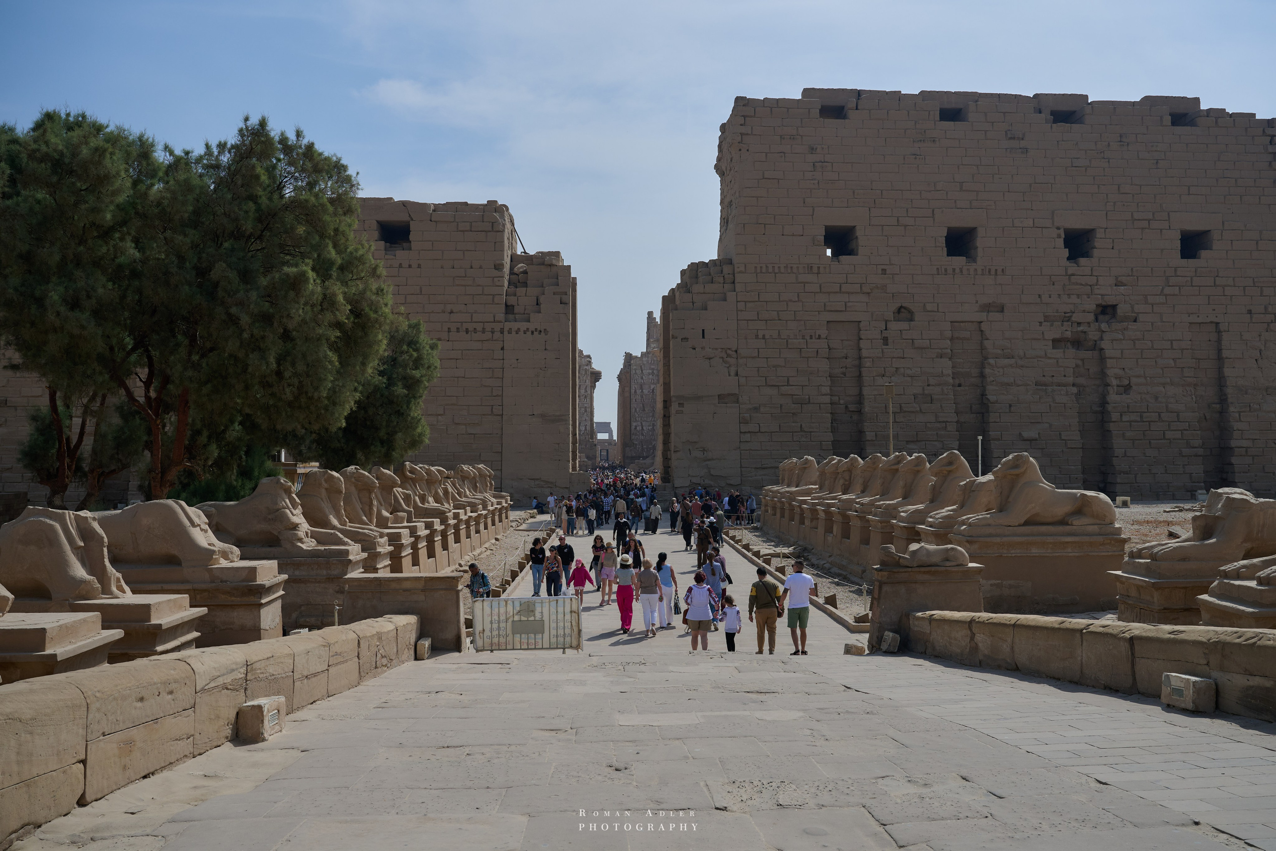 Луксор. Февраль 2025. Фотограф Роман Адлер