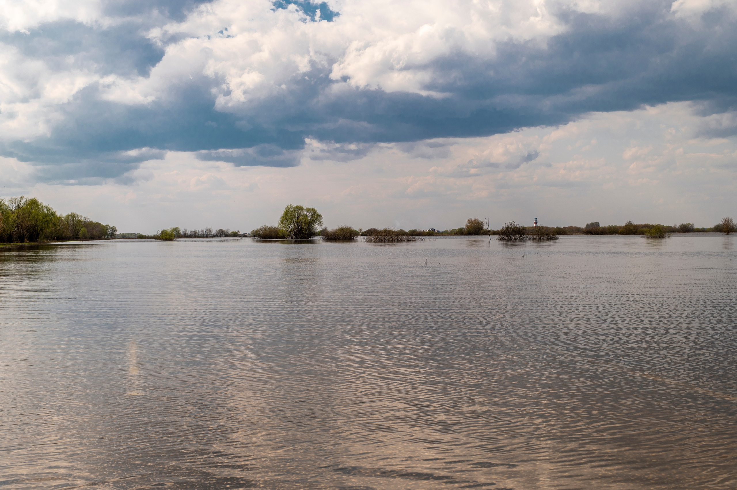Рязань. Май 2022. Фотограф Роман Адлер