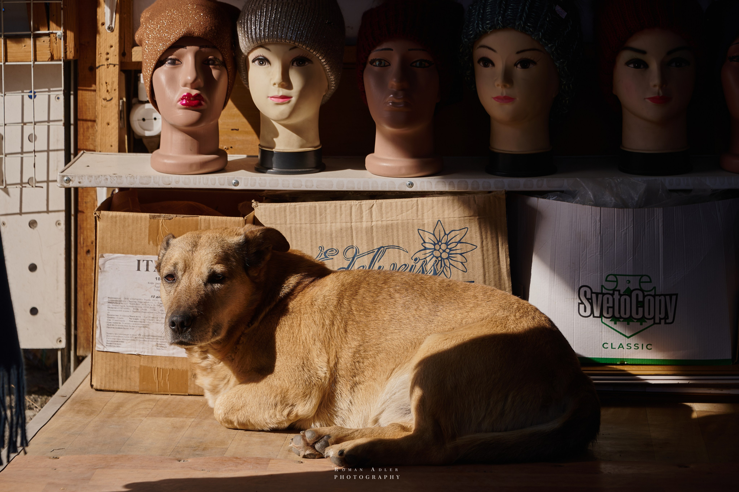 Донецк. Февраль 2024. Фотограф Роман Адлер