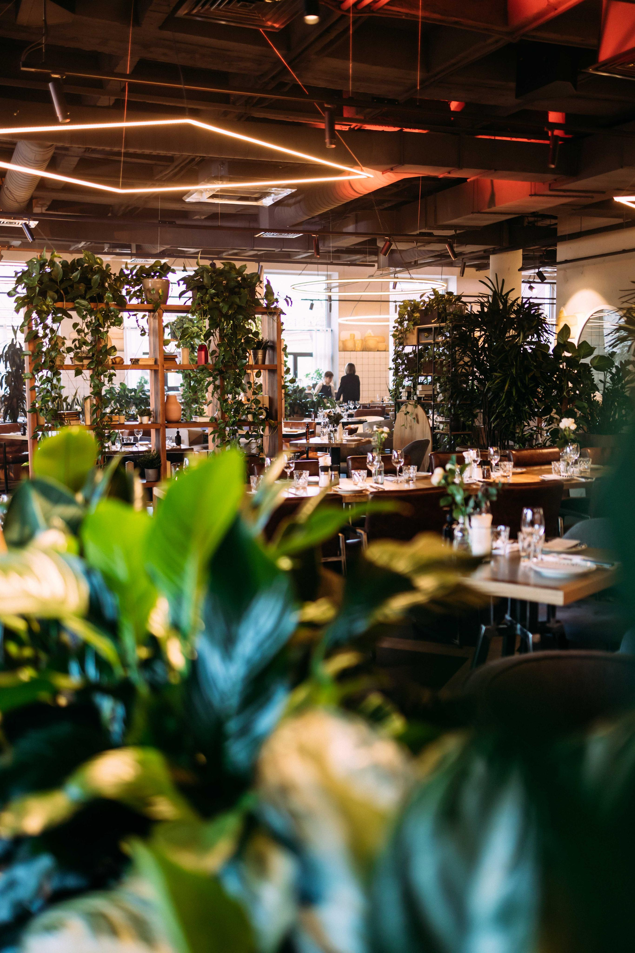 День рождения ресторана «Сыроварня» | апрель 2023, Тюмень. Фотограф в Тюмени Башмакова Анна