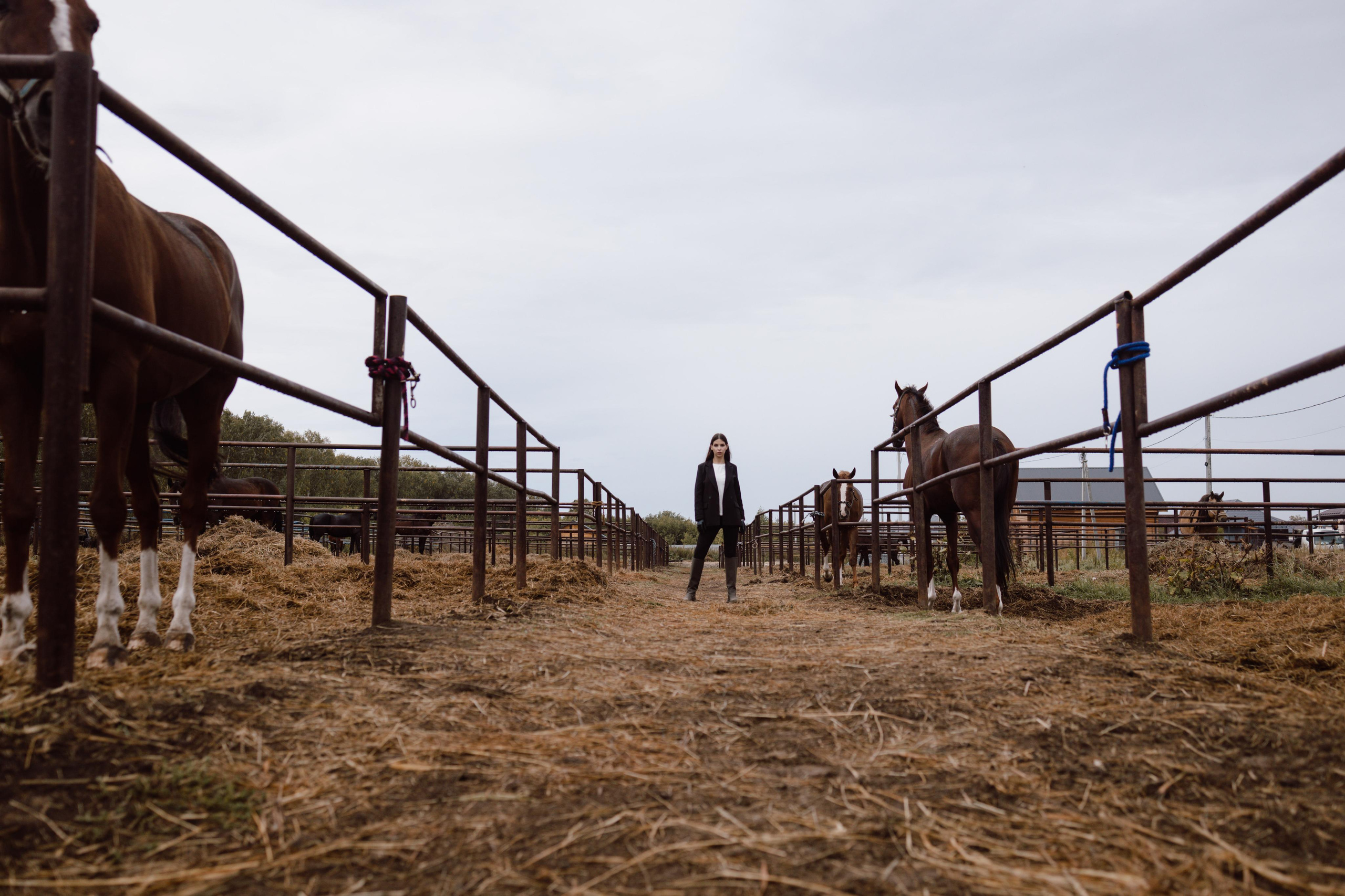 Съемка в конном клубе. Фотограф в Тюмени Башмакова Анна