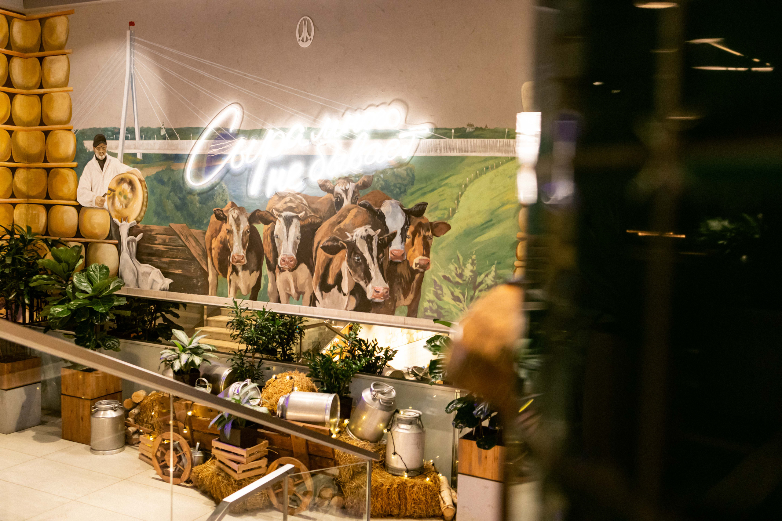 Гастроужин в Сыроварне | февраль 2023, Тюмень. Фотограф в Тюмени Башмакова Анна