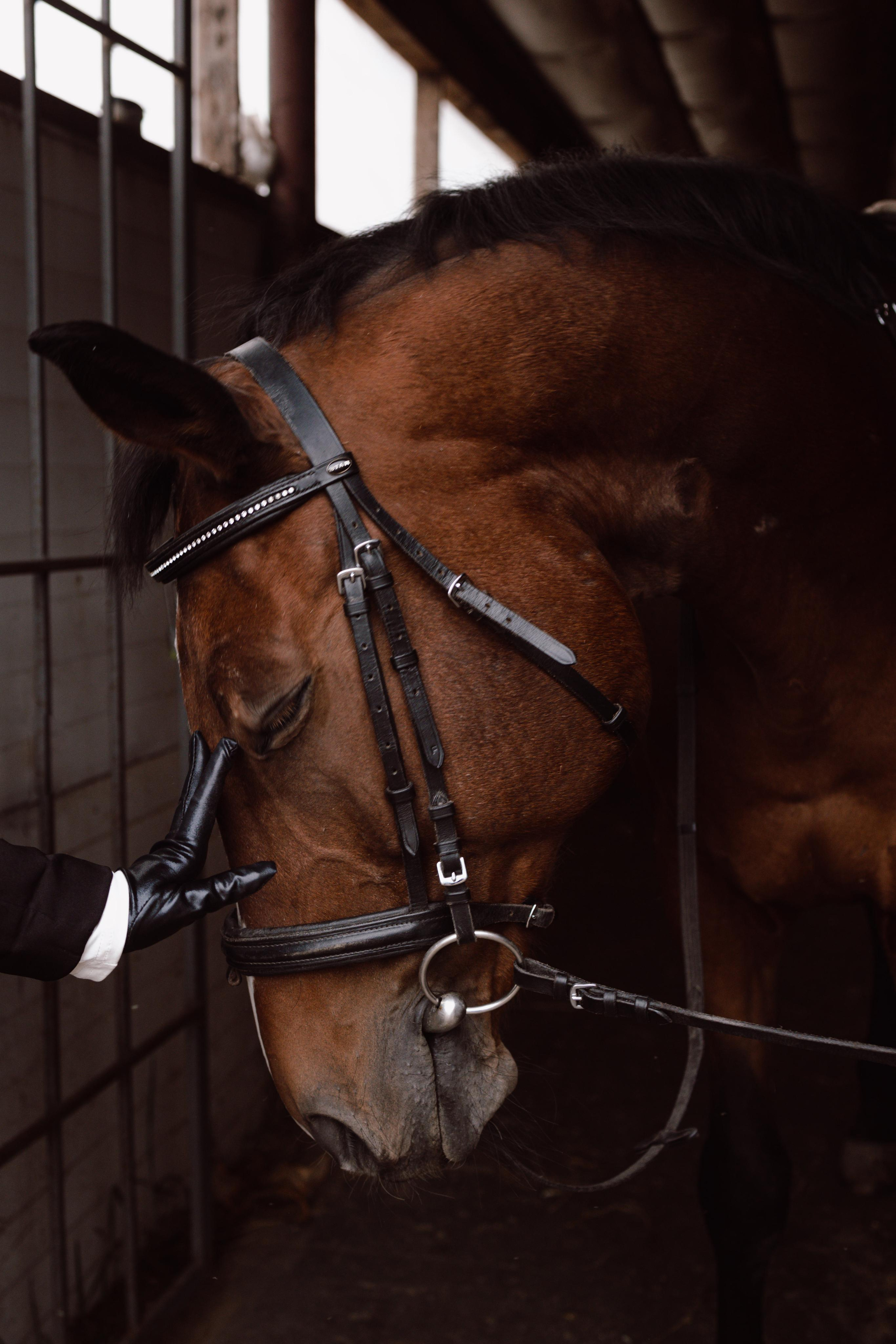 Съемка в конном клубе. Фотограф в Тюмени Башмакова Анна