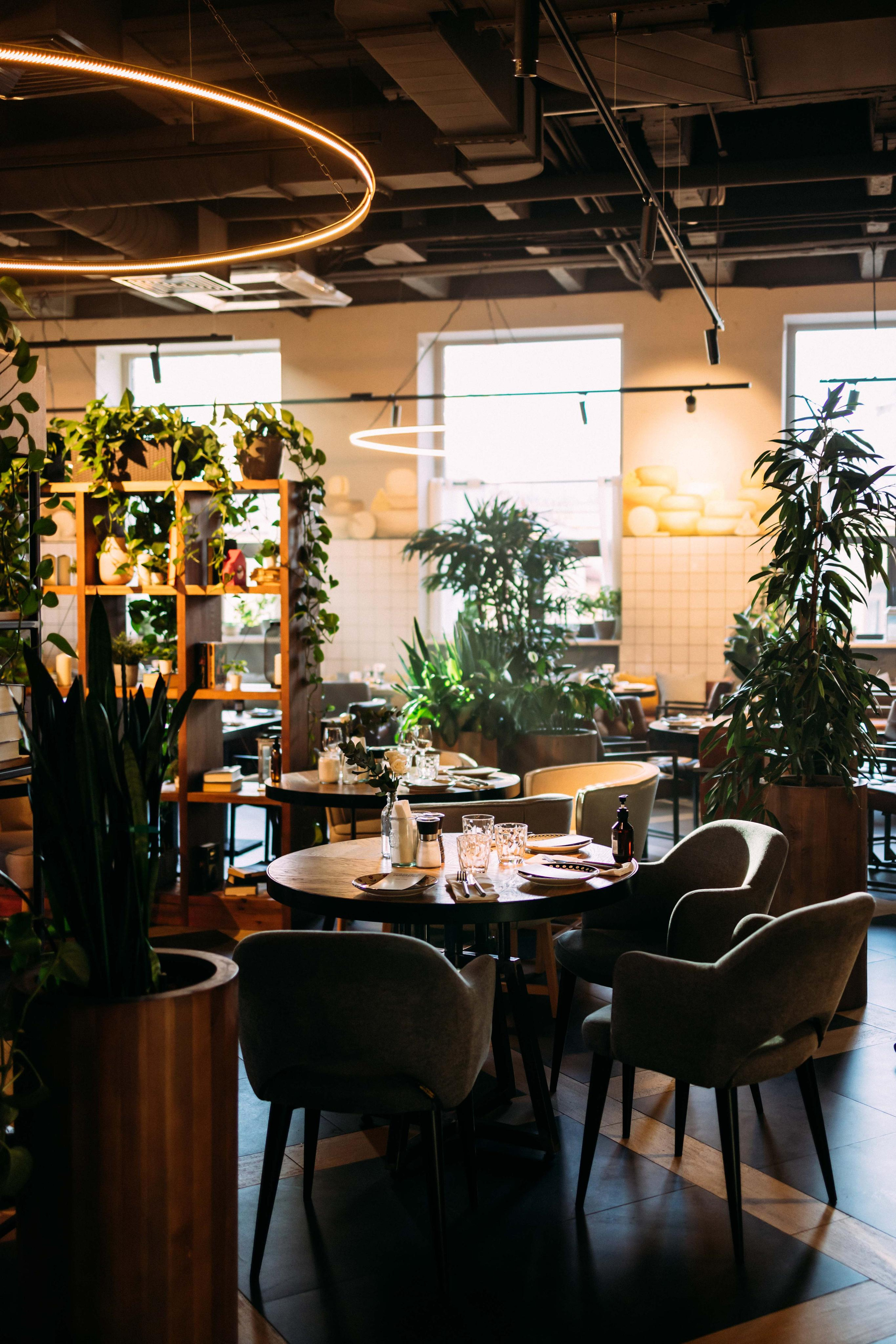 День рождения ресторана «Сыроварня» | апрель 2023, Тюмень. Фотограф в Тюмени Башмакова Анна