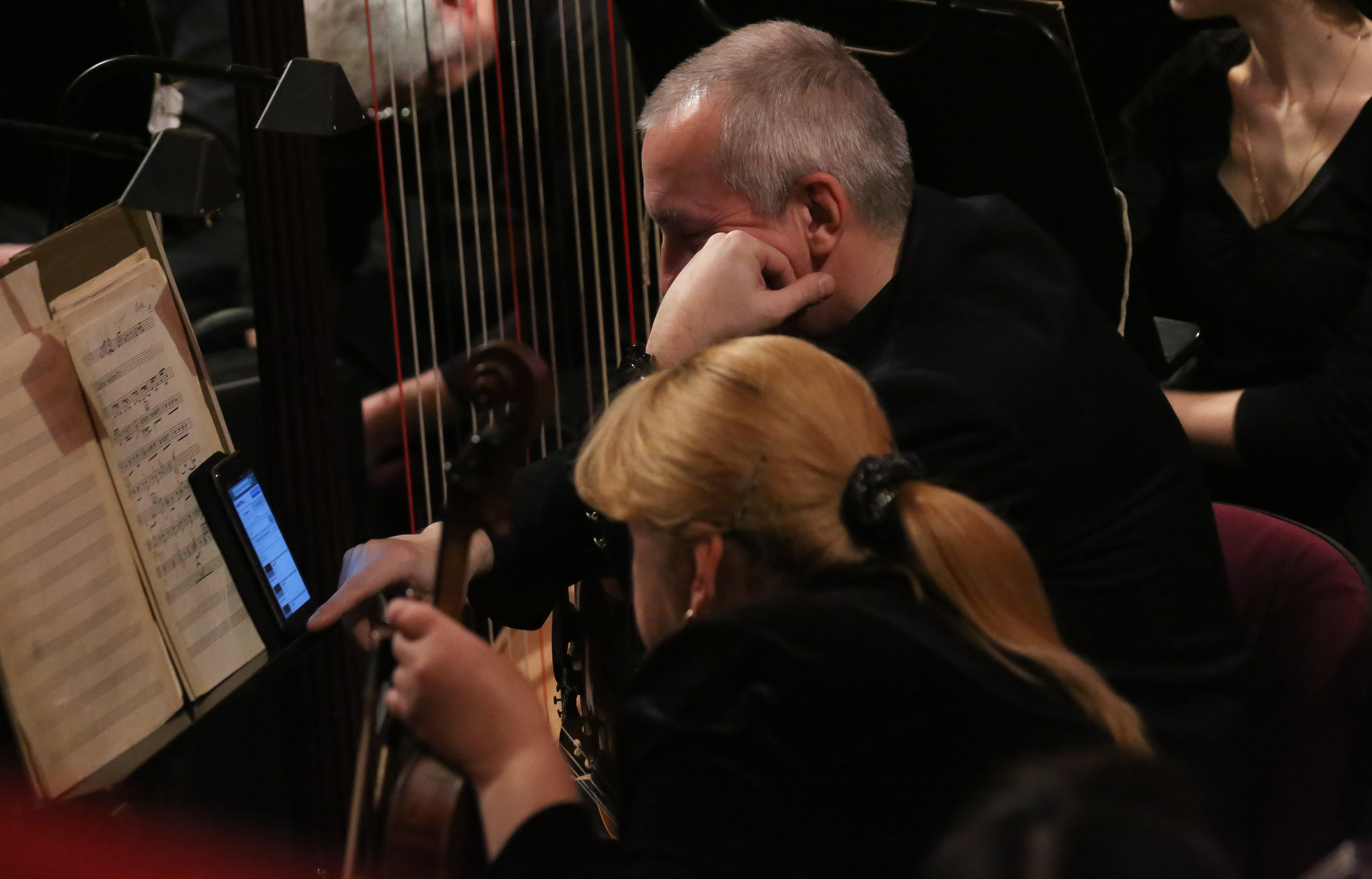 Летучая мышь в Московской оперетте. Дарья Письменюк / Darya Leitstern — фотограф, музыкант, журналист, путешественник