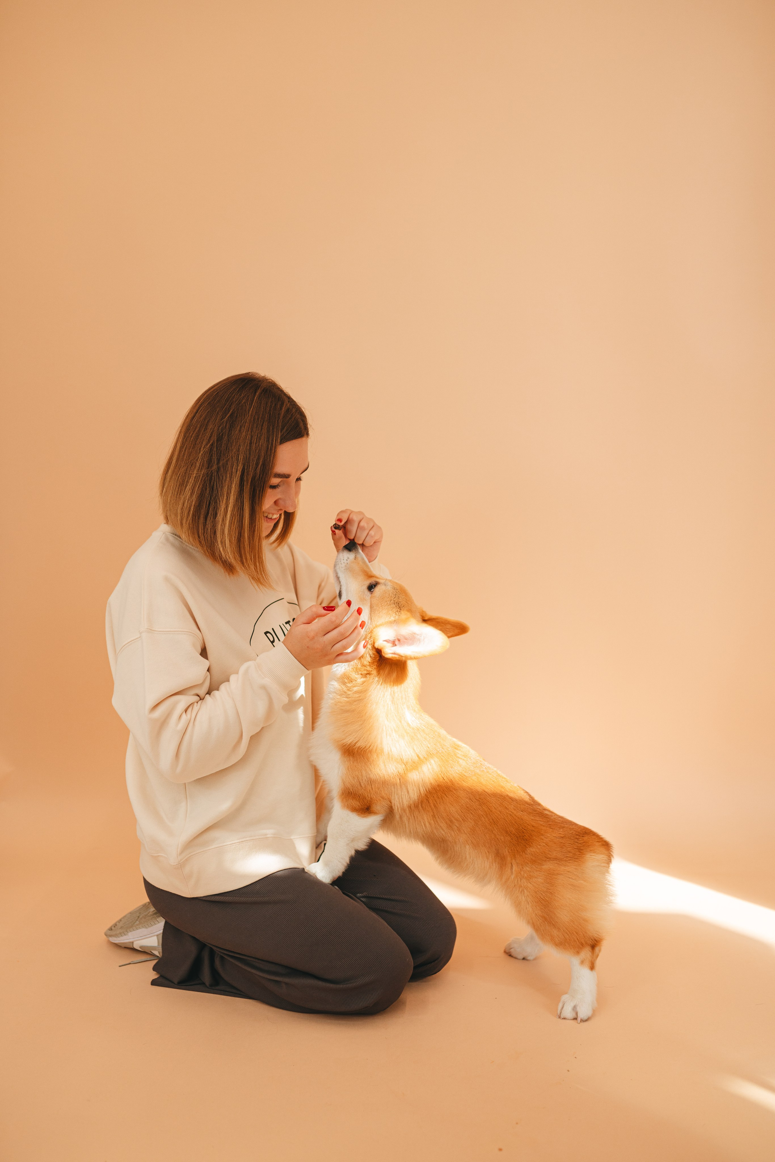 Груминг — салон. Фотограф анималист Осипчикова Мария