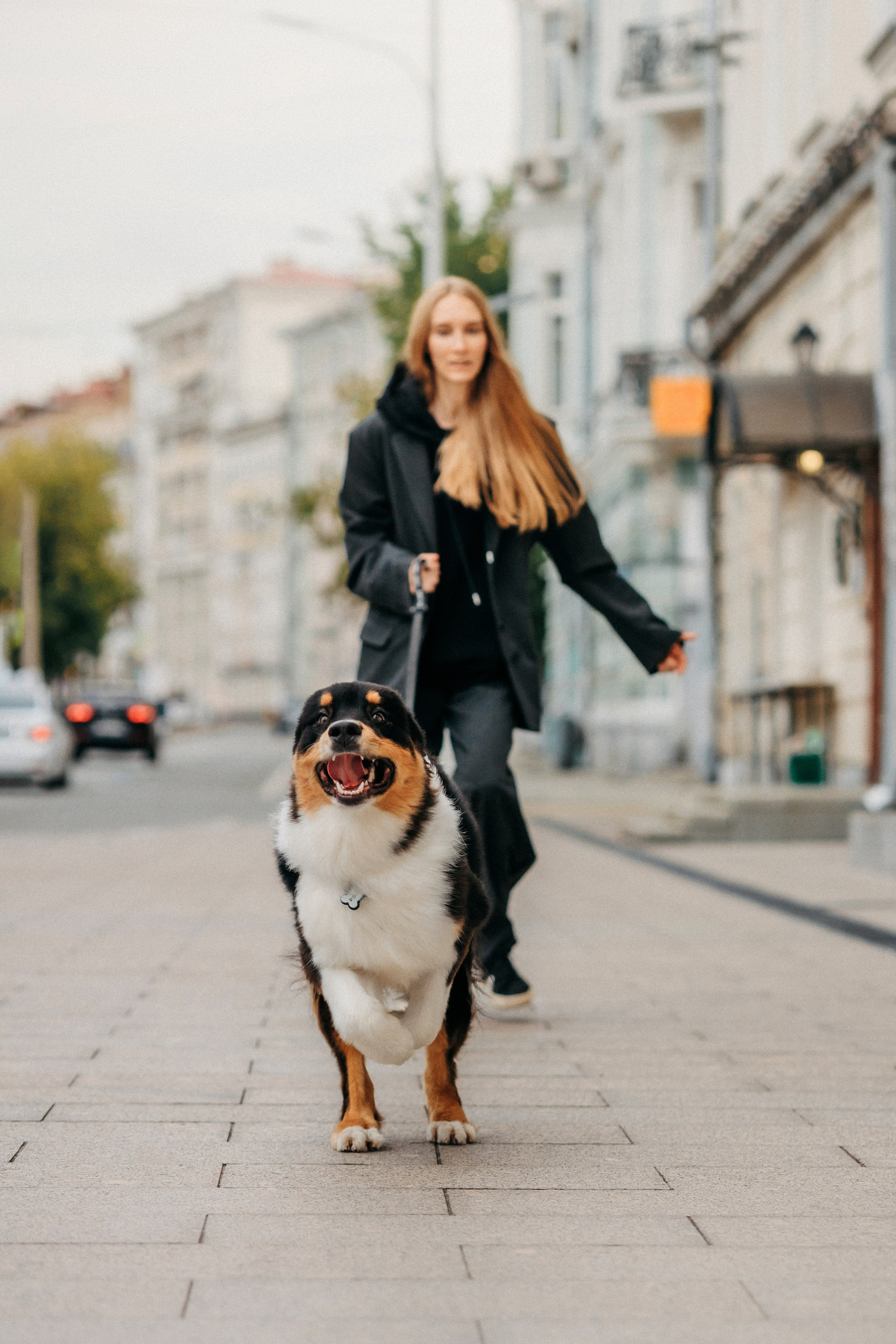Лена и Рэй. Фотограф-анималист Елена Радченко, Москва