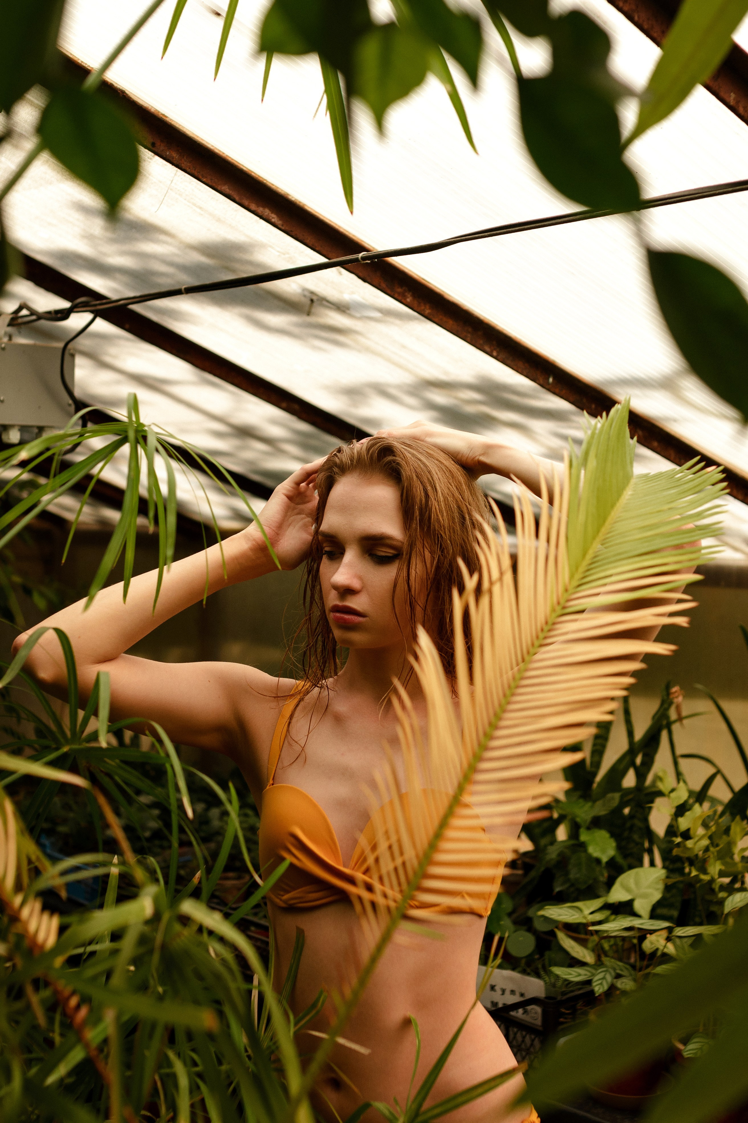 Фотографии в тропической оранжерее Витебск. Фотограф в Витебске Сергей Томашев