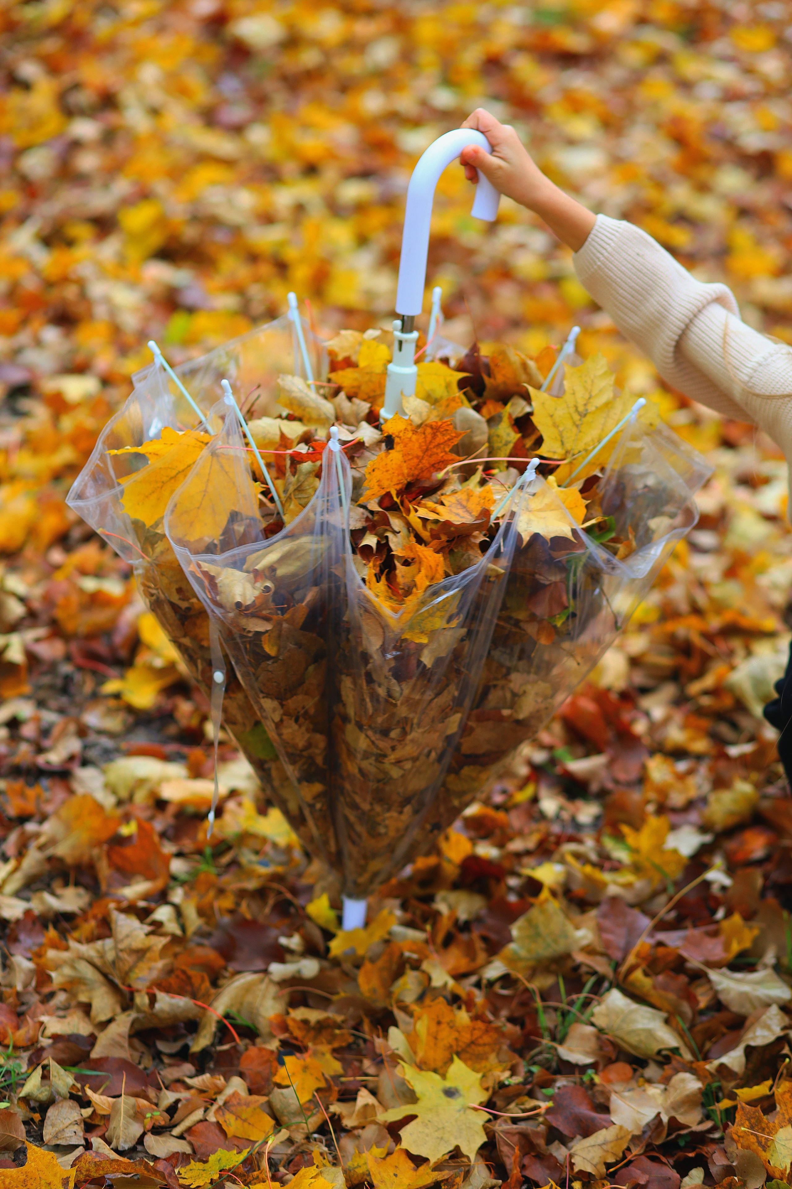 Анастасия и Вероника. Портретный фотограф Москва Виктория Гранд