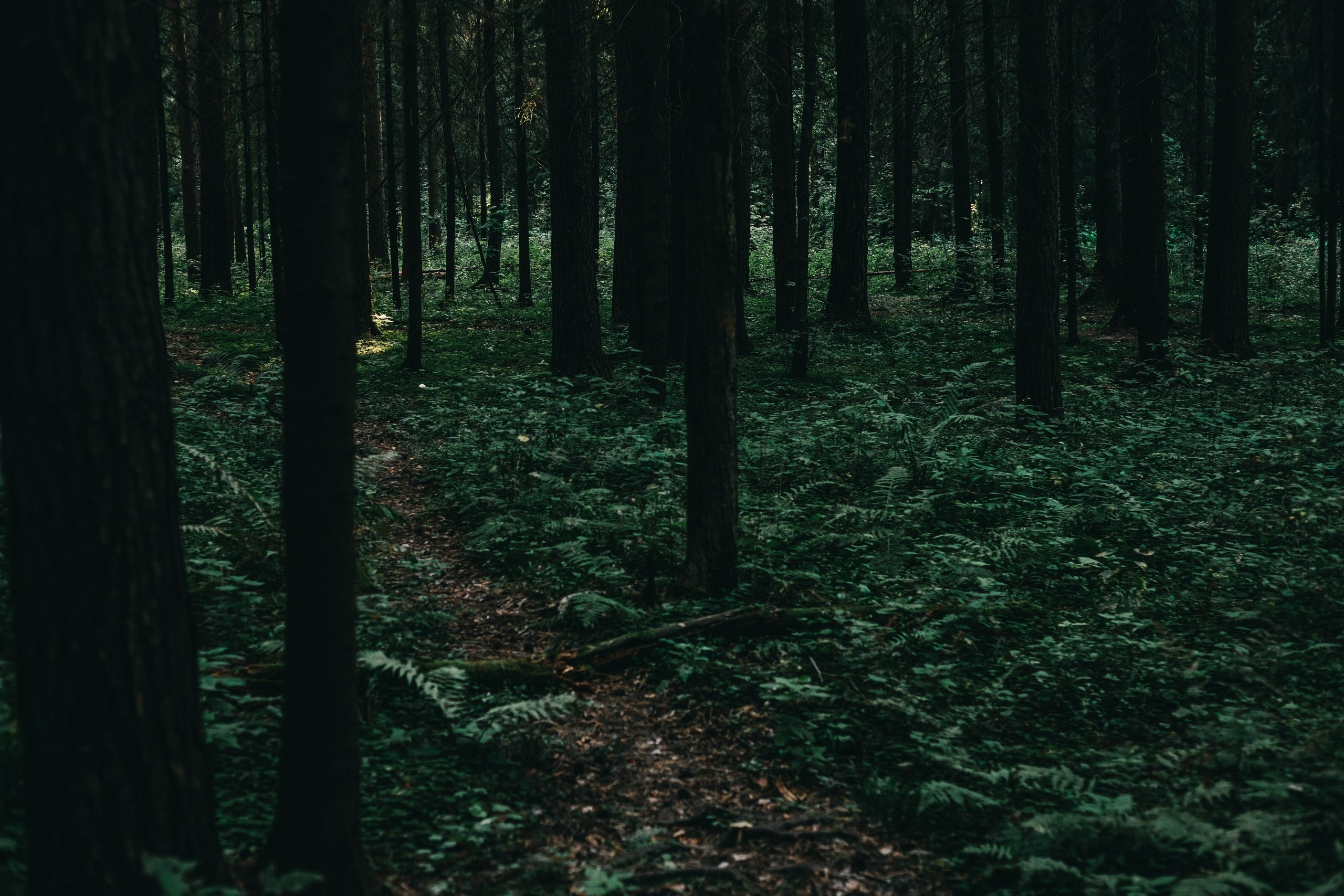 Улица горизонтальная. Jorgis — фотограф в Хургаде / обучение фотографии