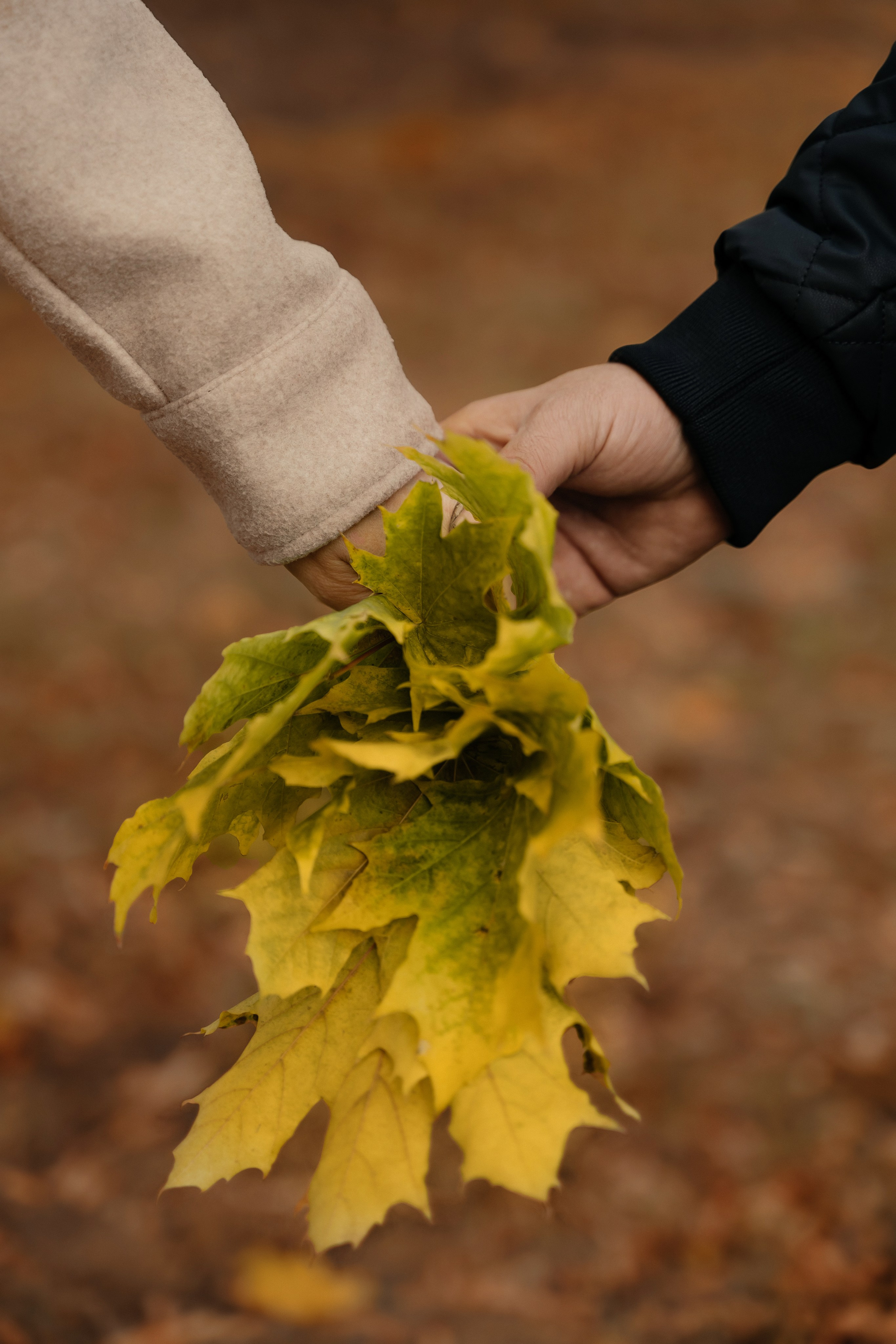 Осенняя фотосессия в стиле Love Story. Семейный фотограф в Белгороде Амелина Алина