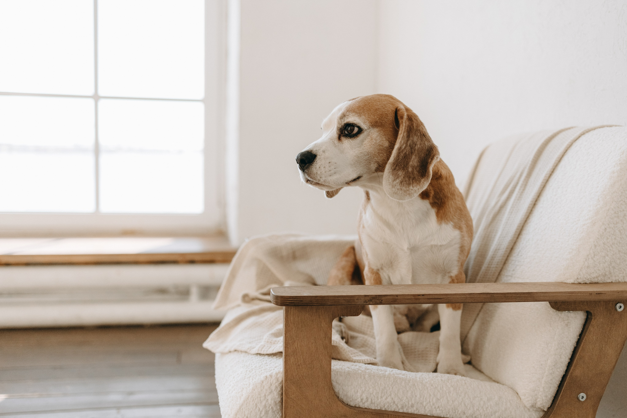 Даня и его семья. Фотограф — Анималист | Санкт-Петербург