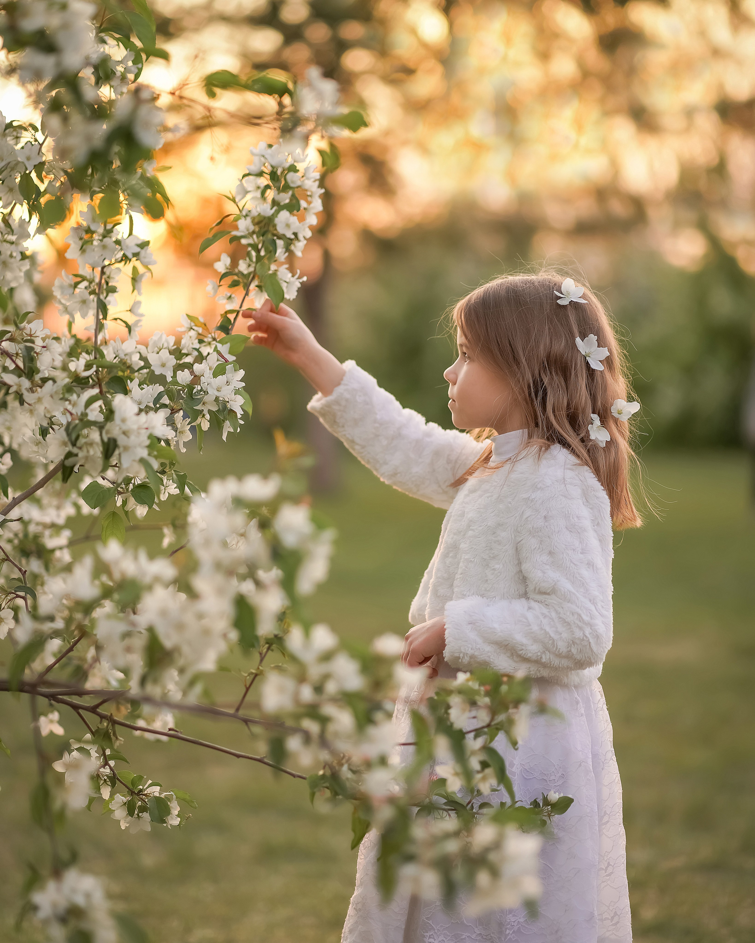 Цветение. Фотограф Татьяна Митрофанова