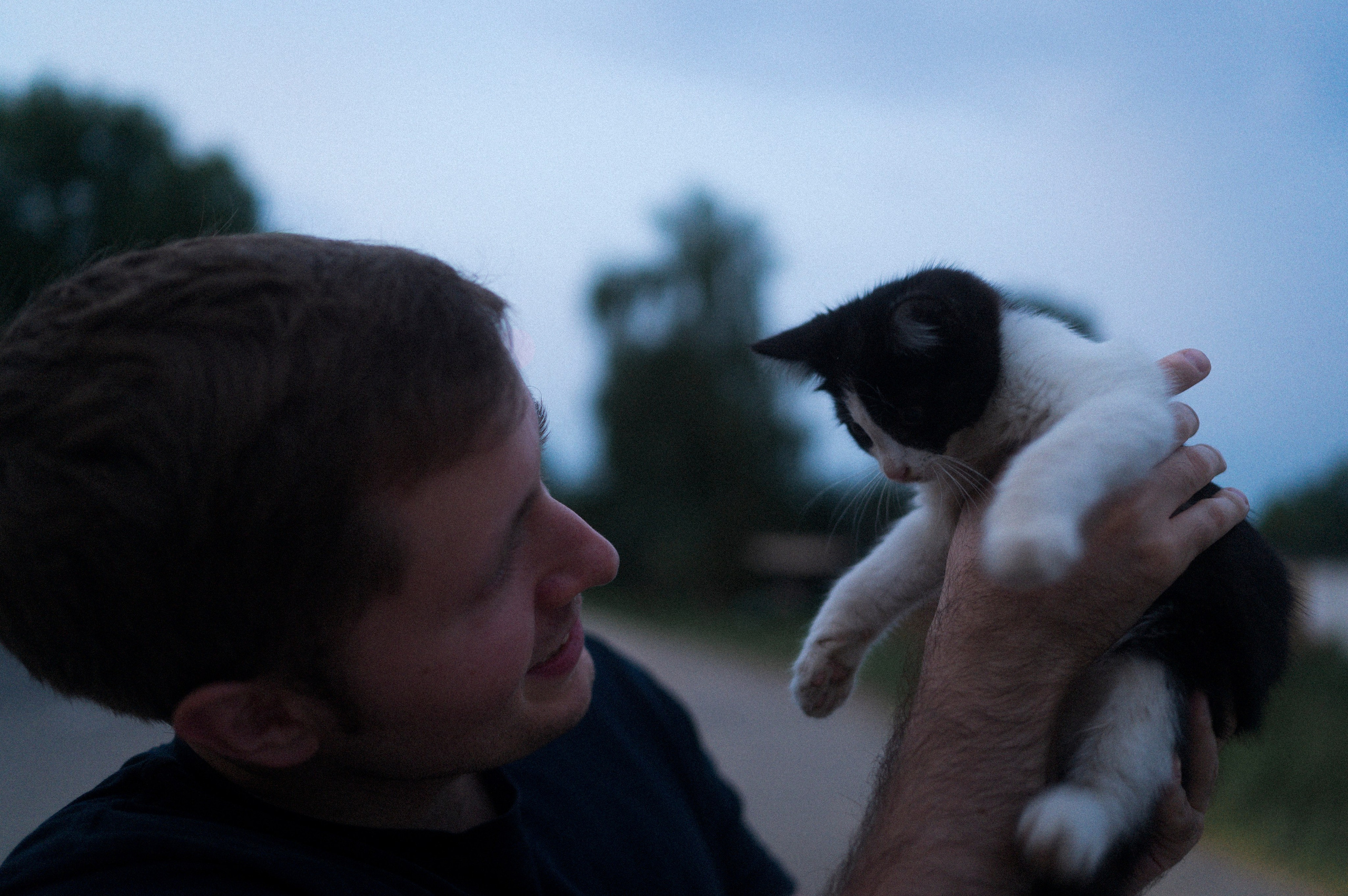 Majstore. Kartascheff