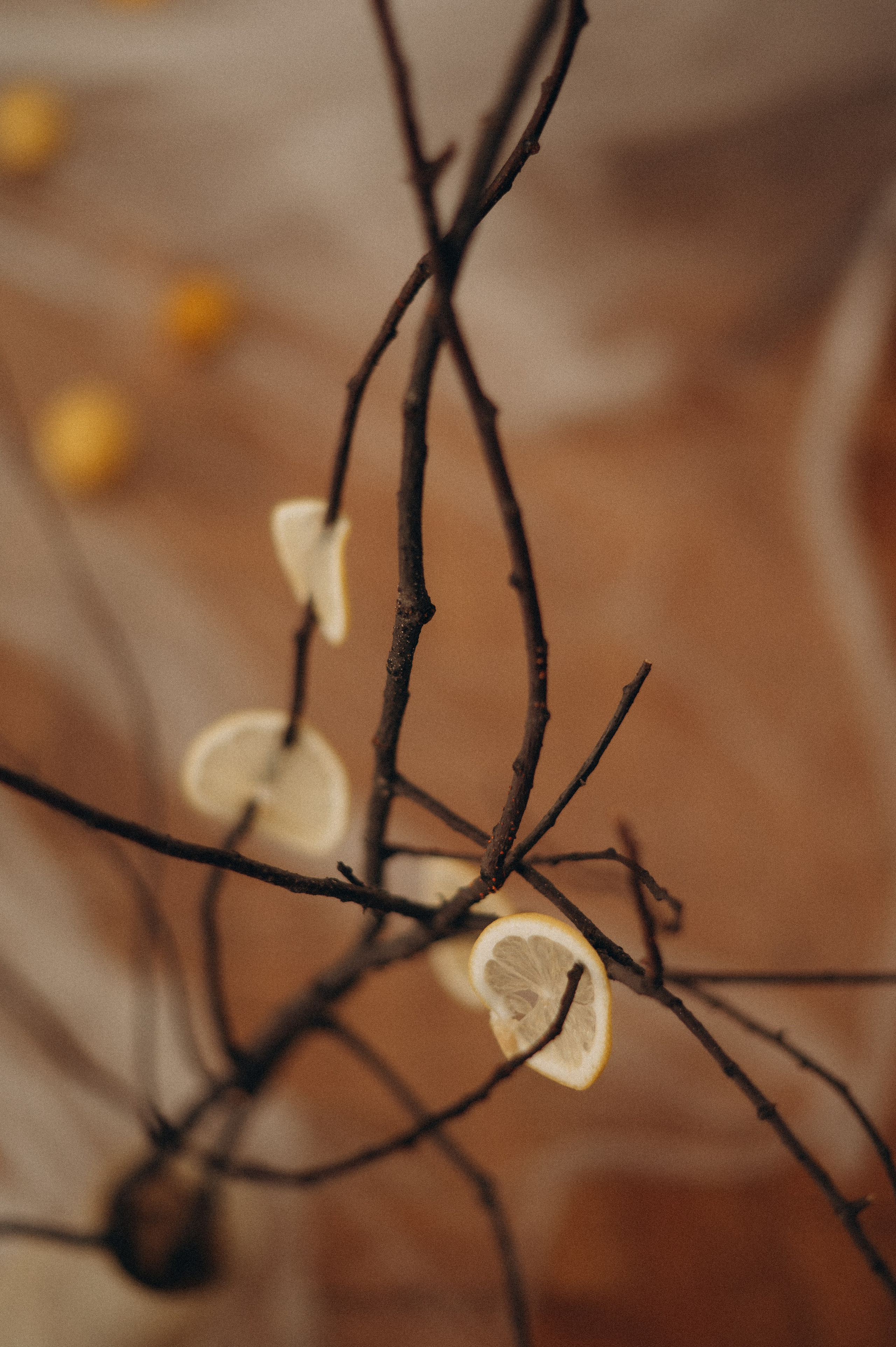 Арина. Фотограф в Иркутске