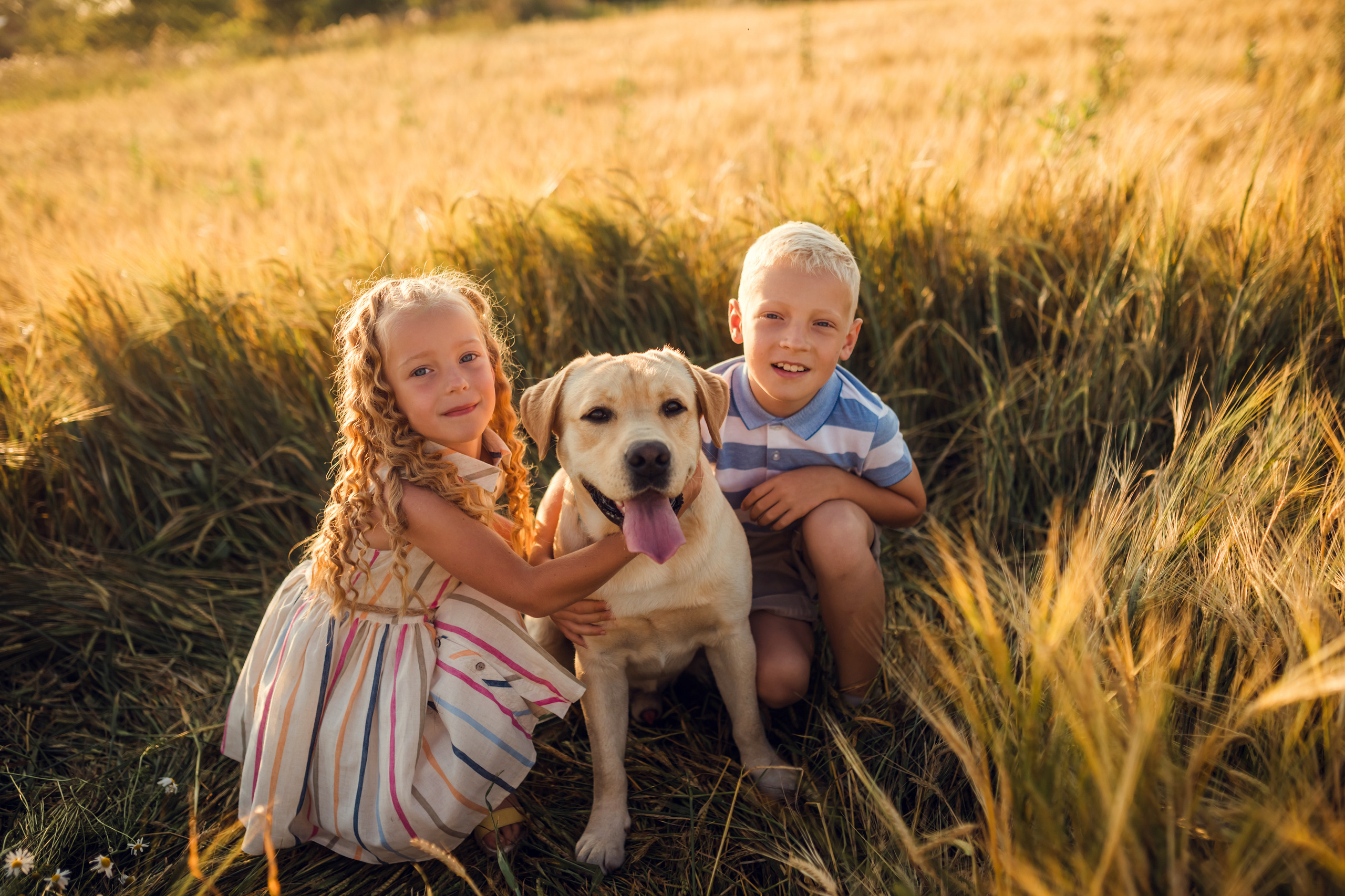 Прогулка в полях всей семьей. Фотограф новорожденных во Владимире