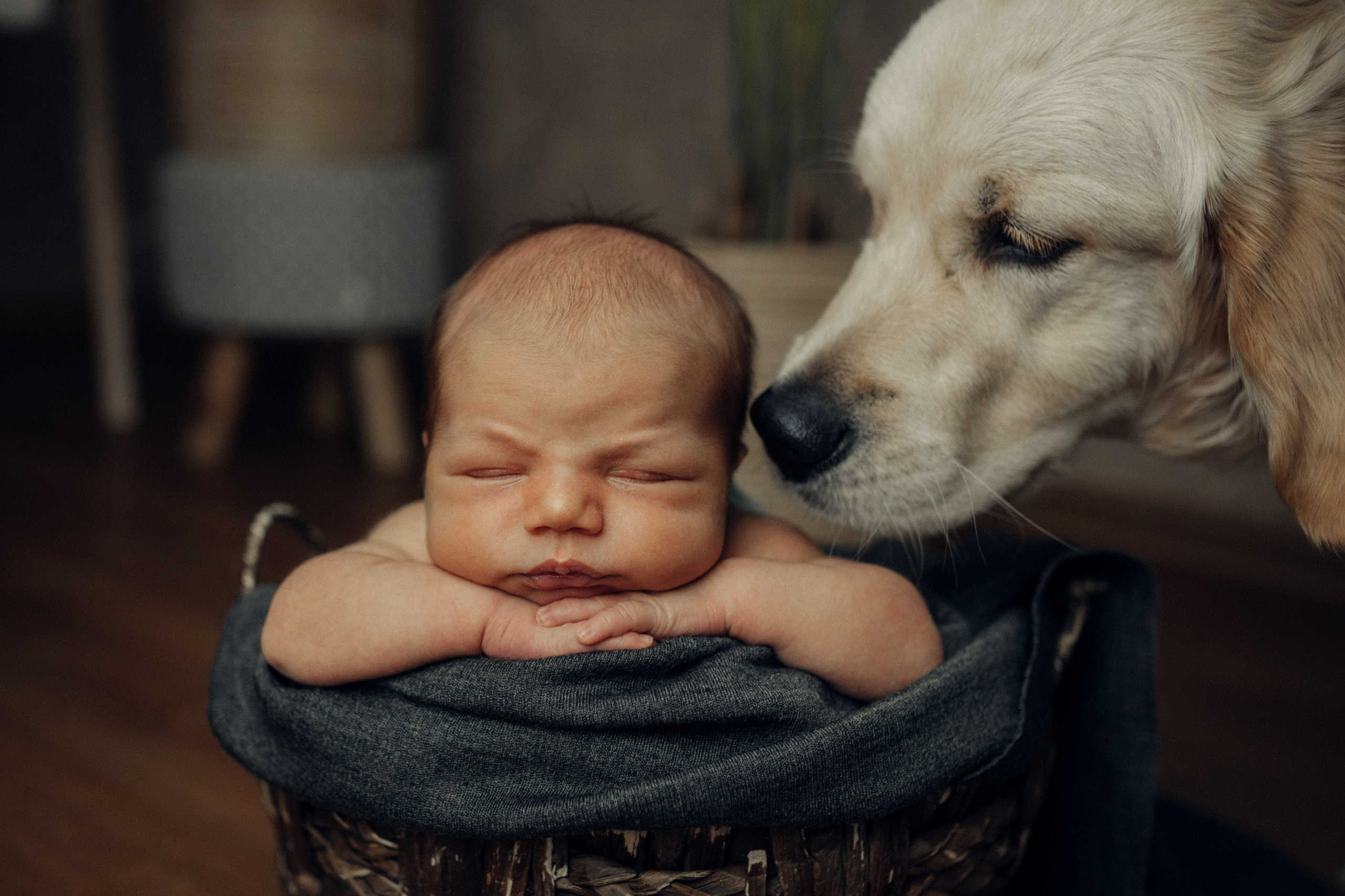 Оливер. Фотограф новорожденных во Владимире