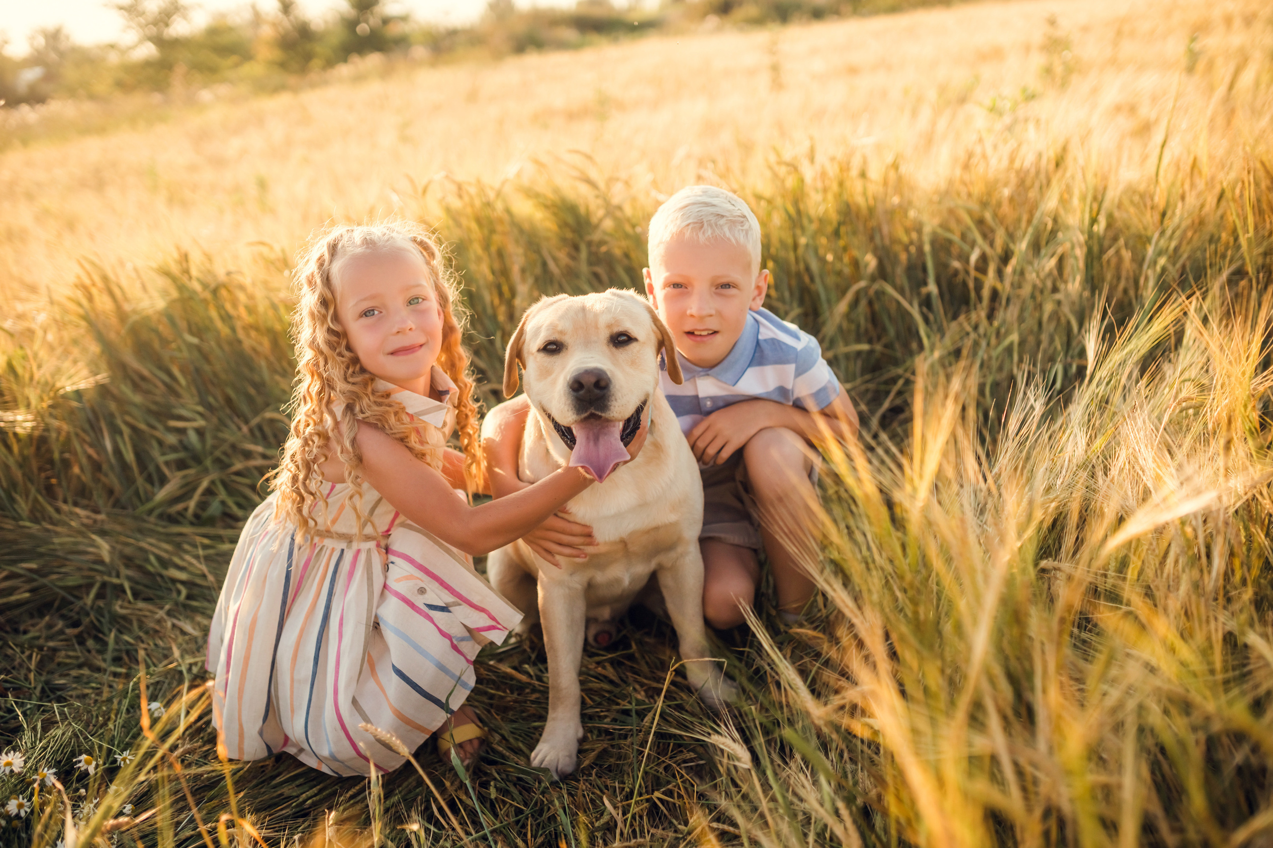 Прогулка в полях всей семьей. Фотограф новорожденных во Владимире