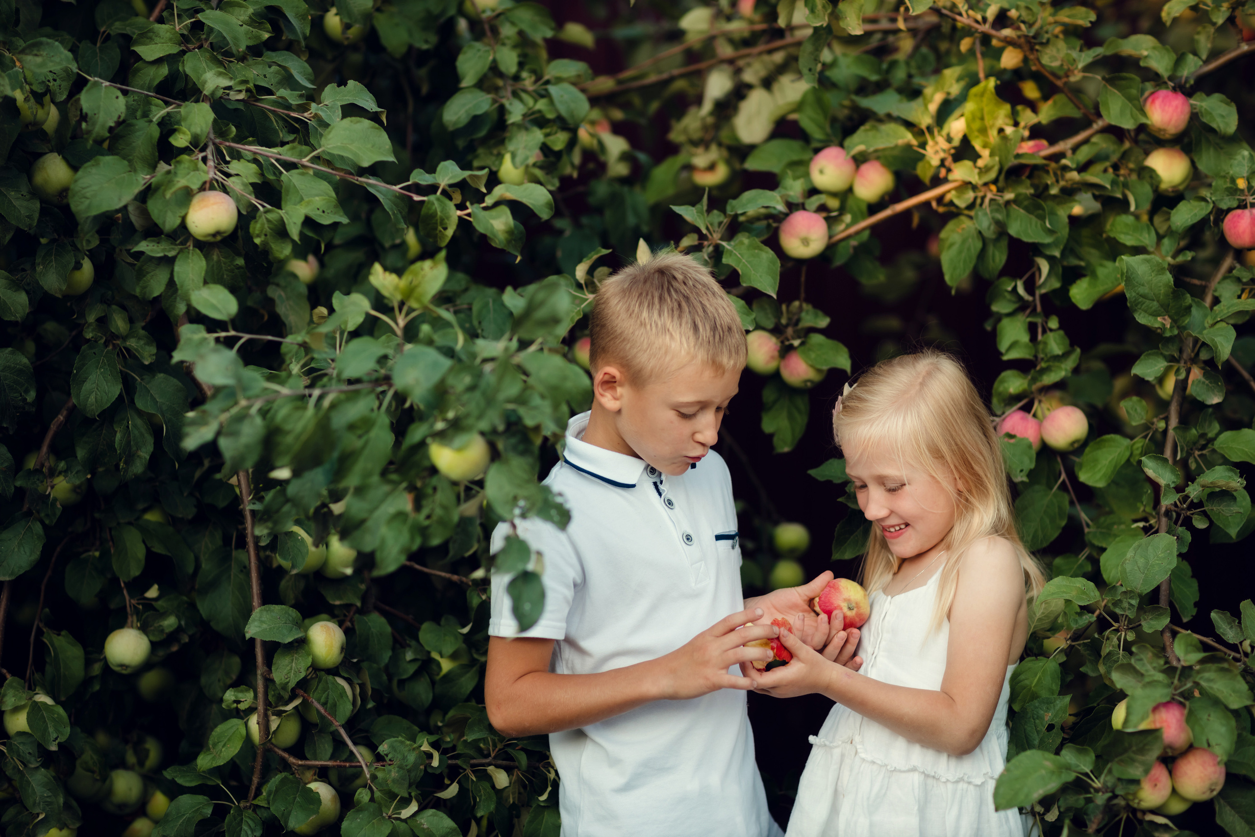 Семейная фотосессия. Фотограф новорожденных во Владимире
