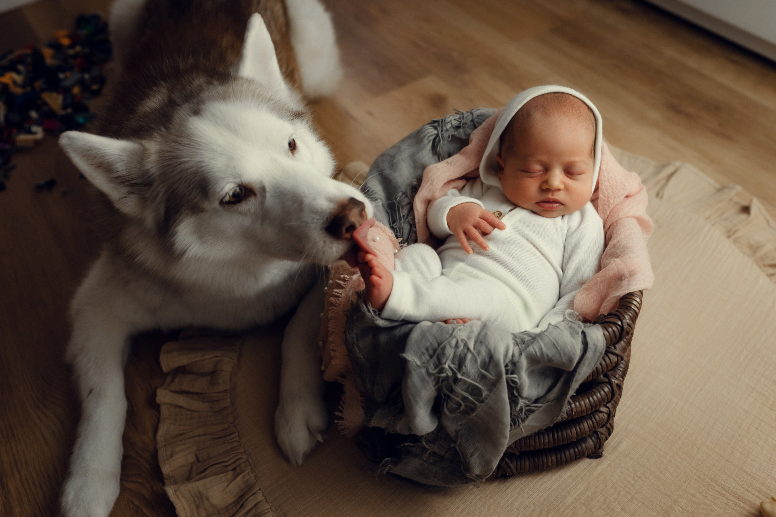 Новорожденные. Фотограф новорожденных во Владимире