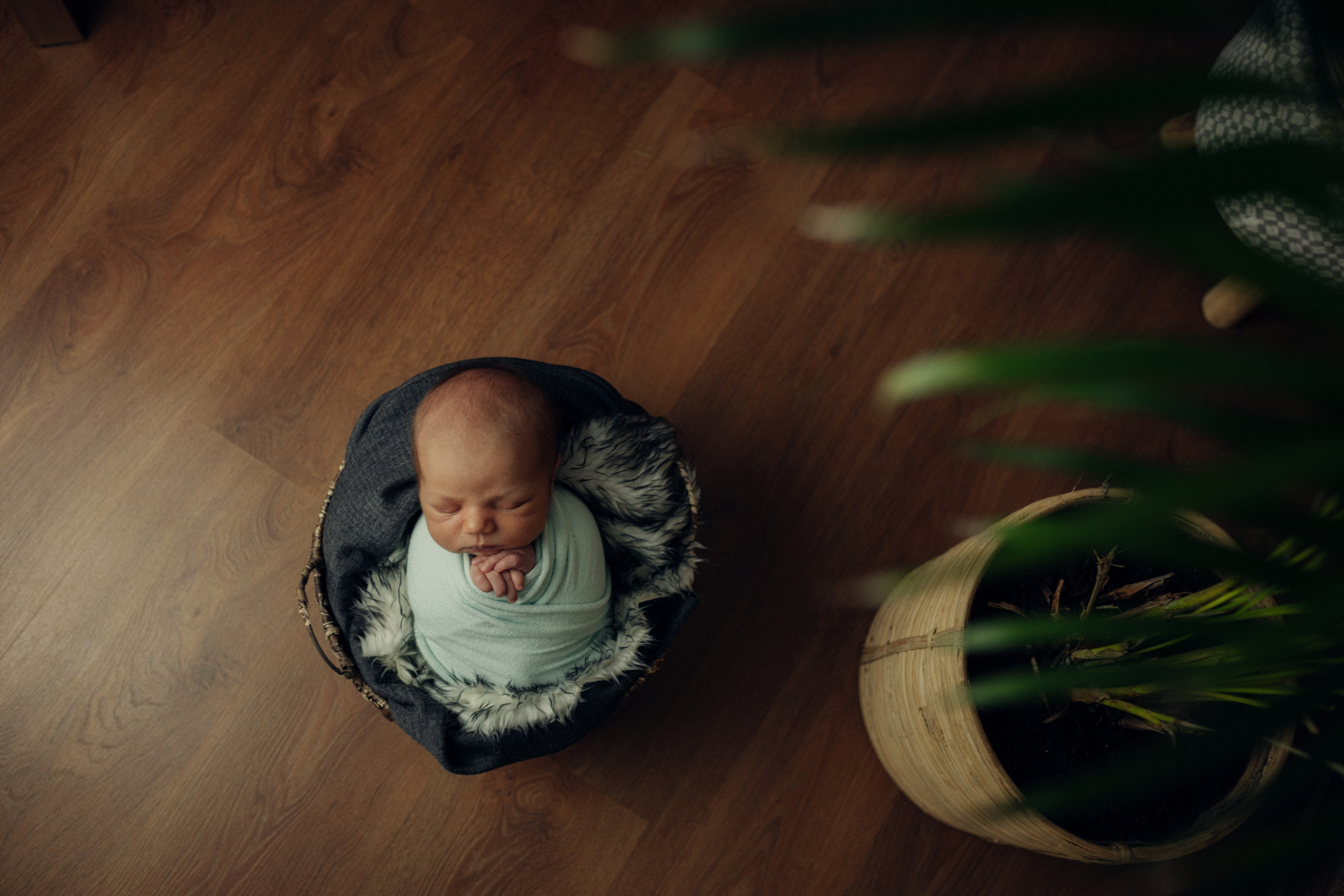 Оливер. Фотограф новорожденных во Владимире