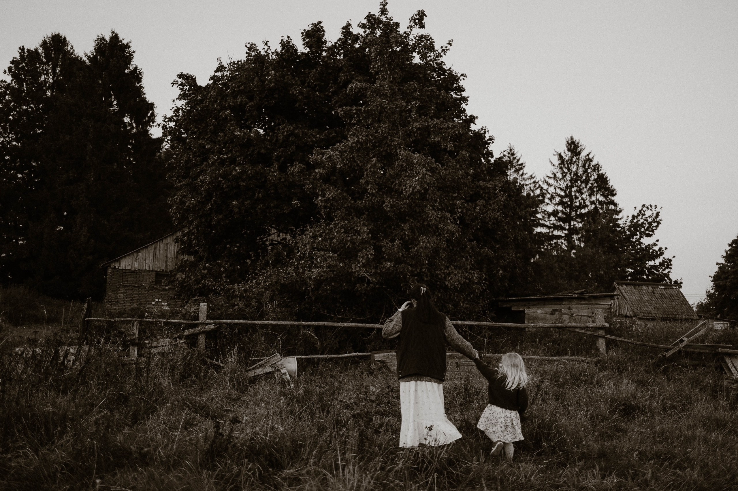 Семейные фотосесии 2025