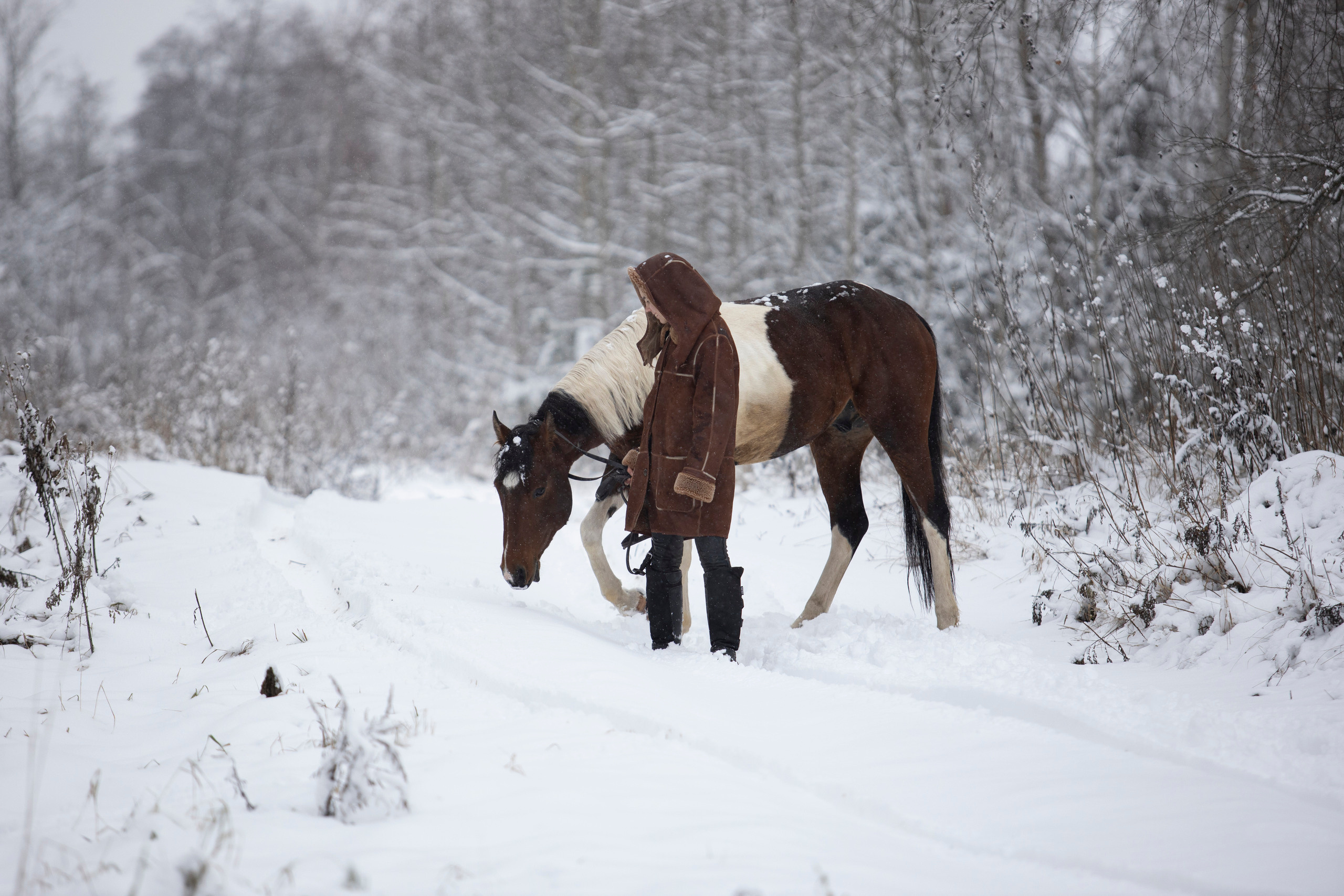 Кира и Архыз. Бочарова Мария — школьный фотограф Апрелевка, Новая Москва, Московская область