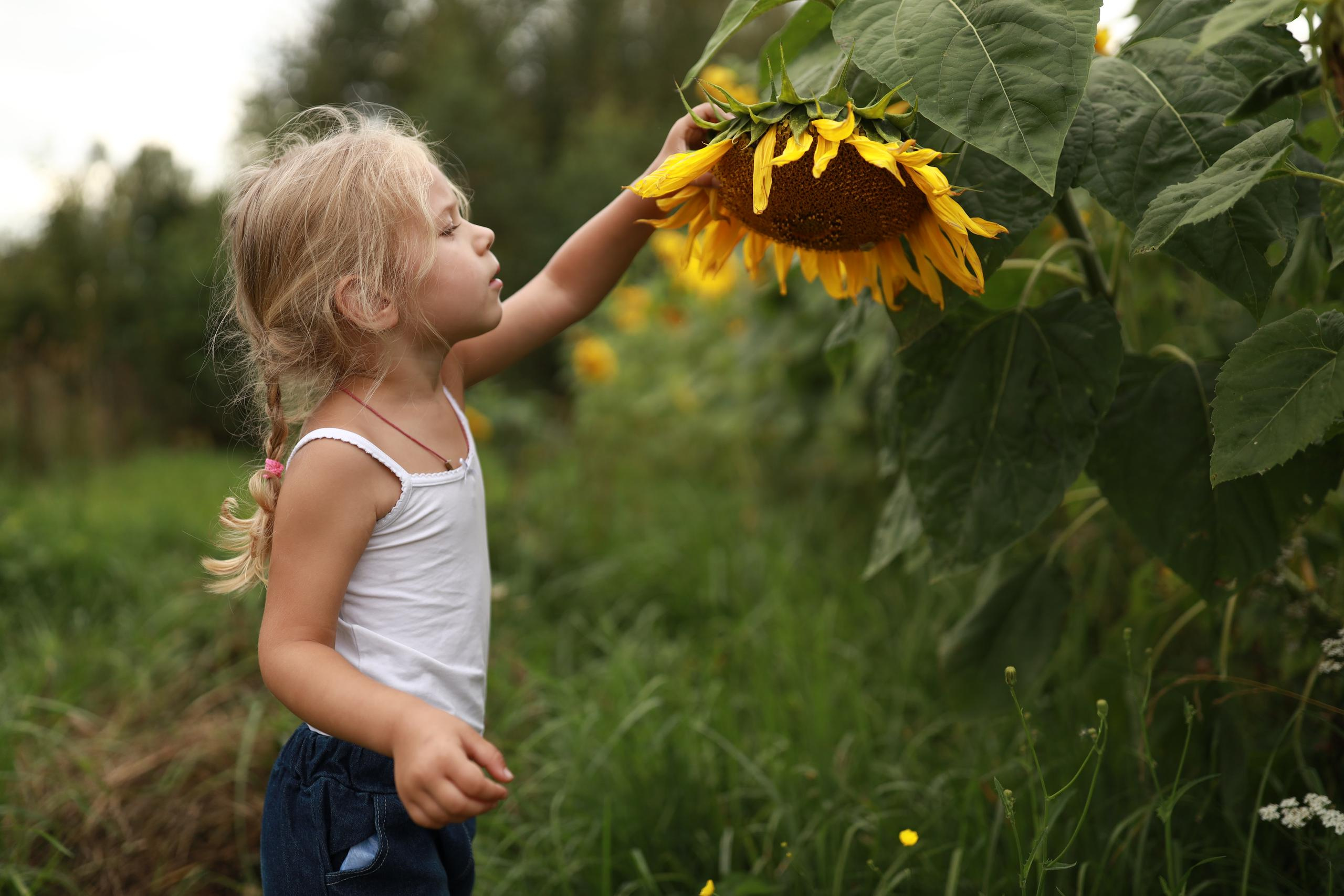 Главная. Бочарова Мария — школьный фотограф Апрелевка, Новая Москва, Московская область