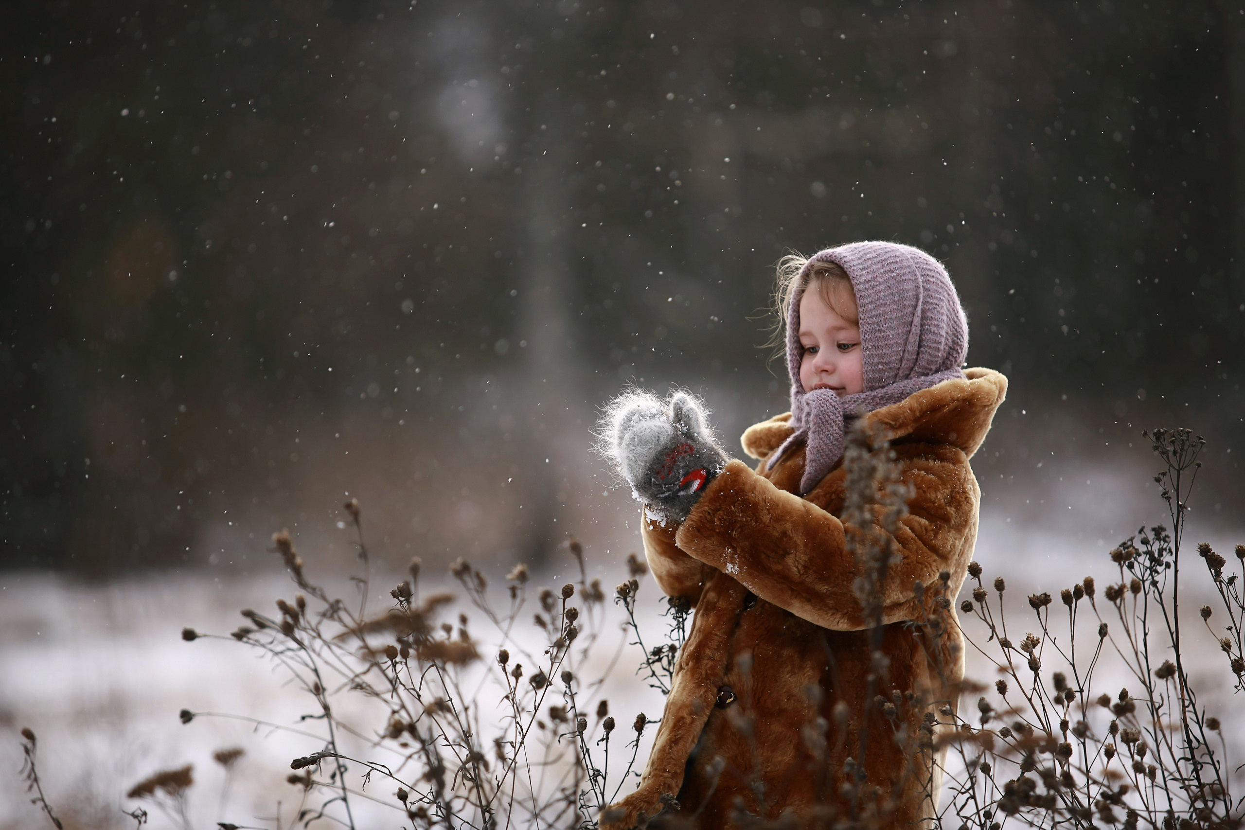 Главная. Бочарова Мария — школьный фотограф Апрелевка, Новая Москва, Московская область