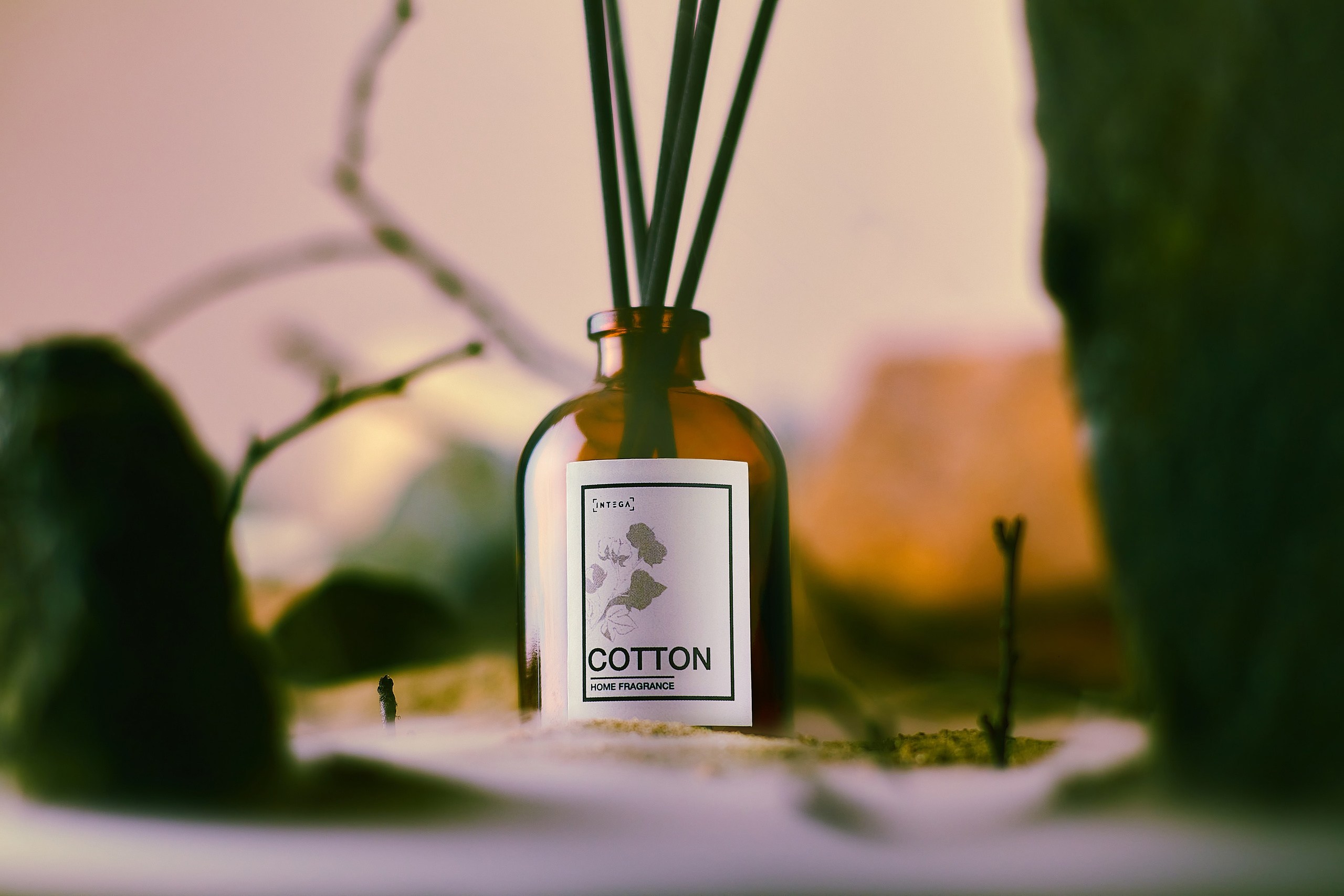 Общее портфолио. Агентство «Кооператив»