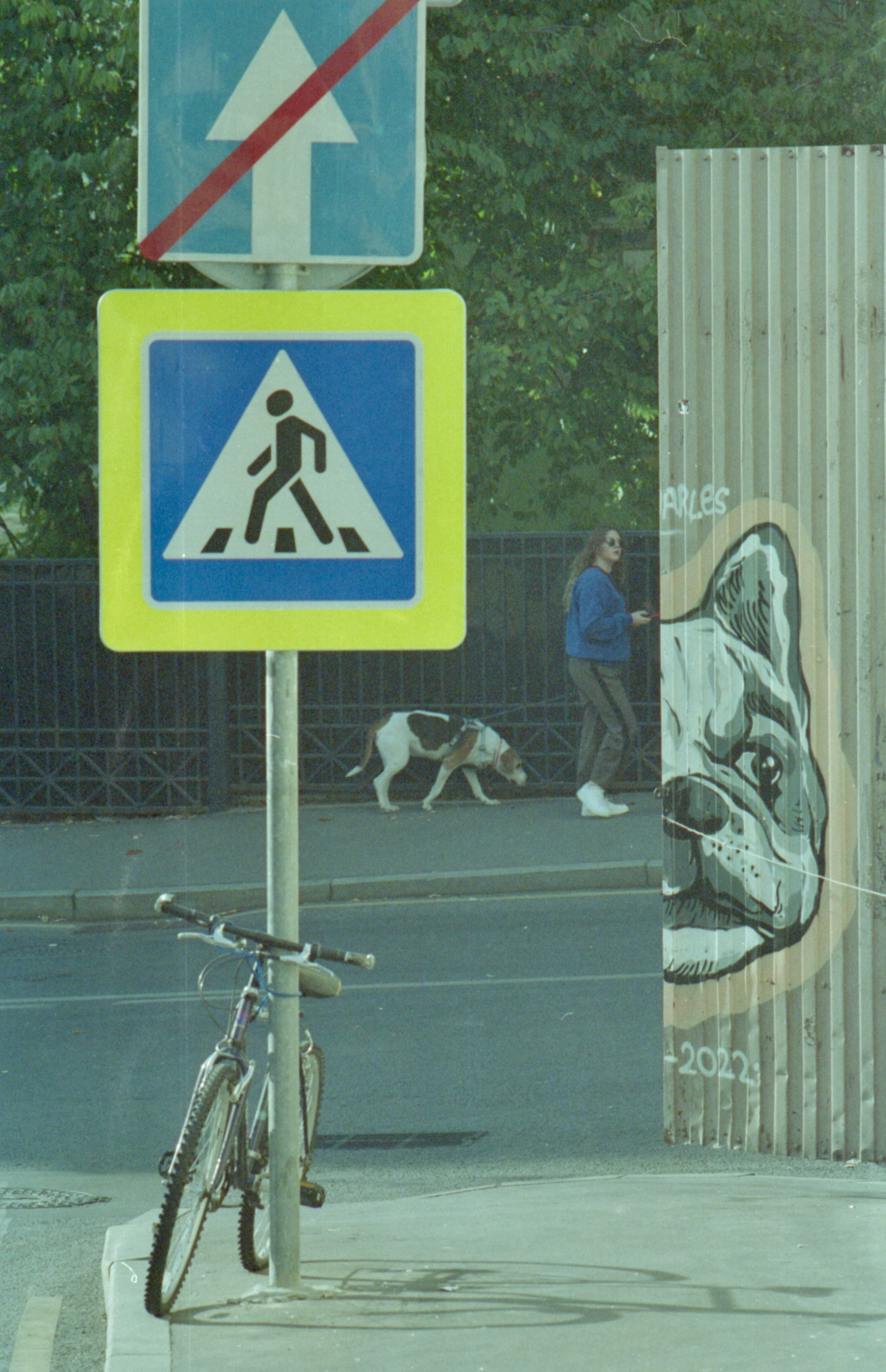 Автор: Руслан Чекарев