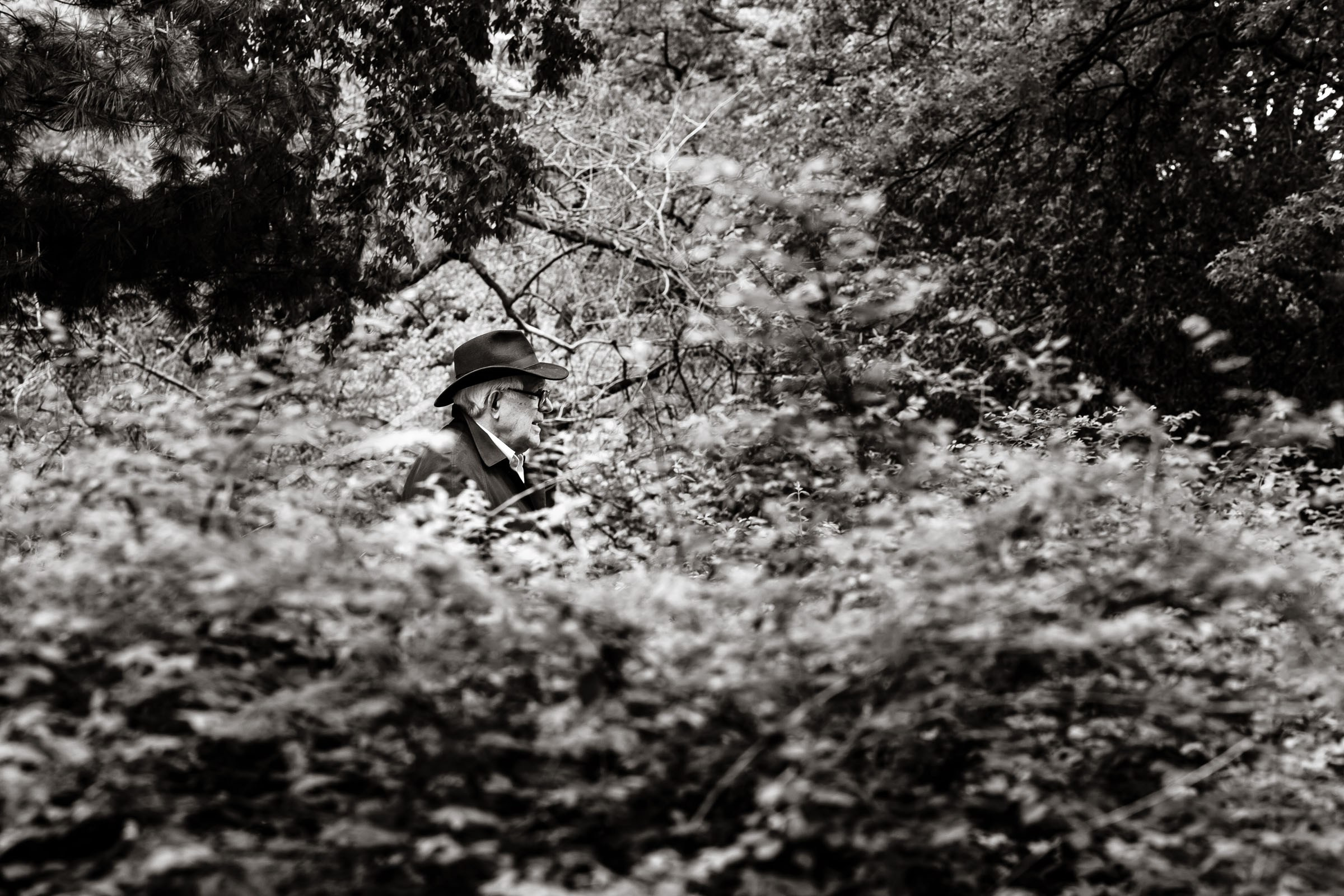 Автор: Константин Пешков