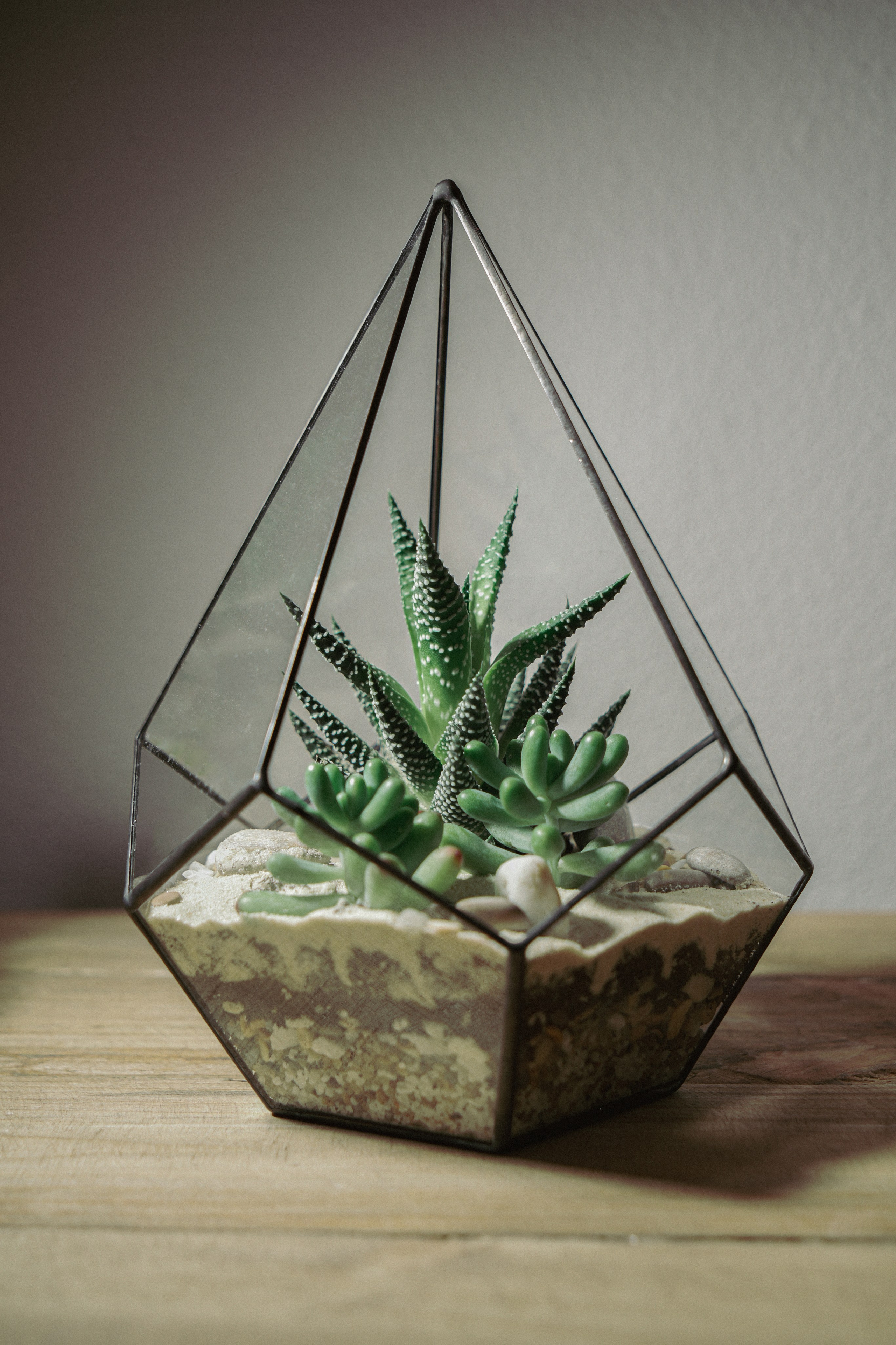 Коммерческая съёмка. Фото и видеосъемка КМВ — свадьбы, недвижимость, меню, туры. Пятигорск, Кисловодск