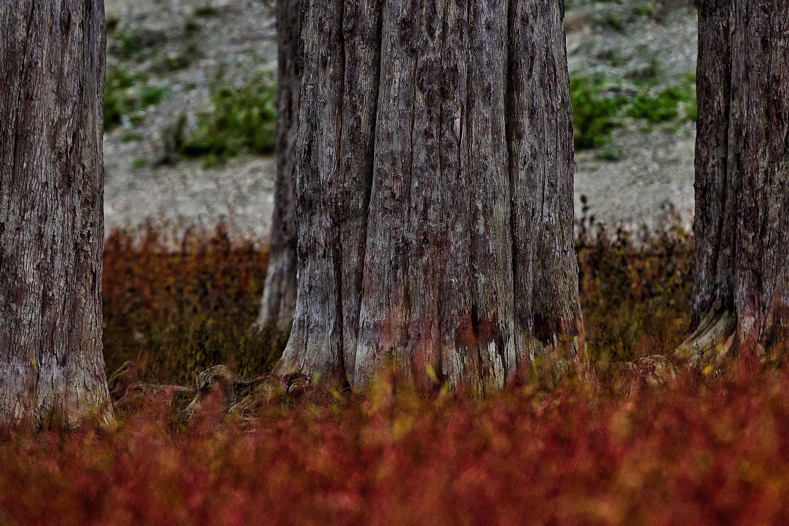 Текстуры и другие фоны. Textures and other. Яркие фото на Чёрном море