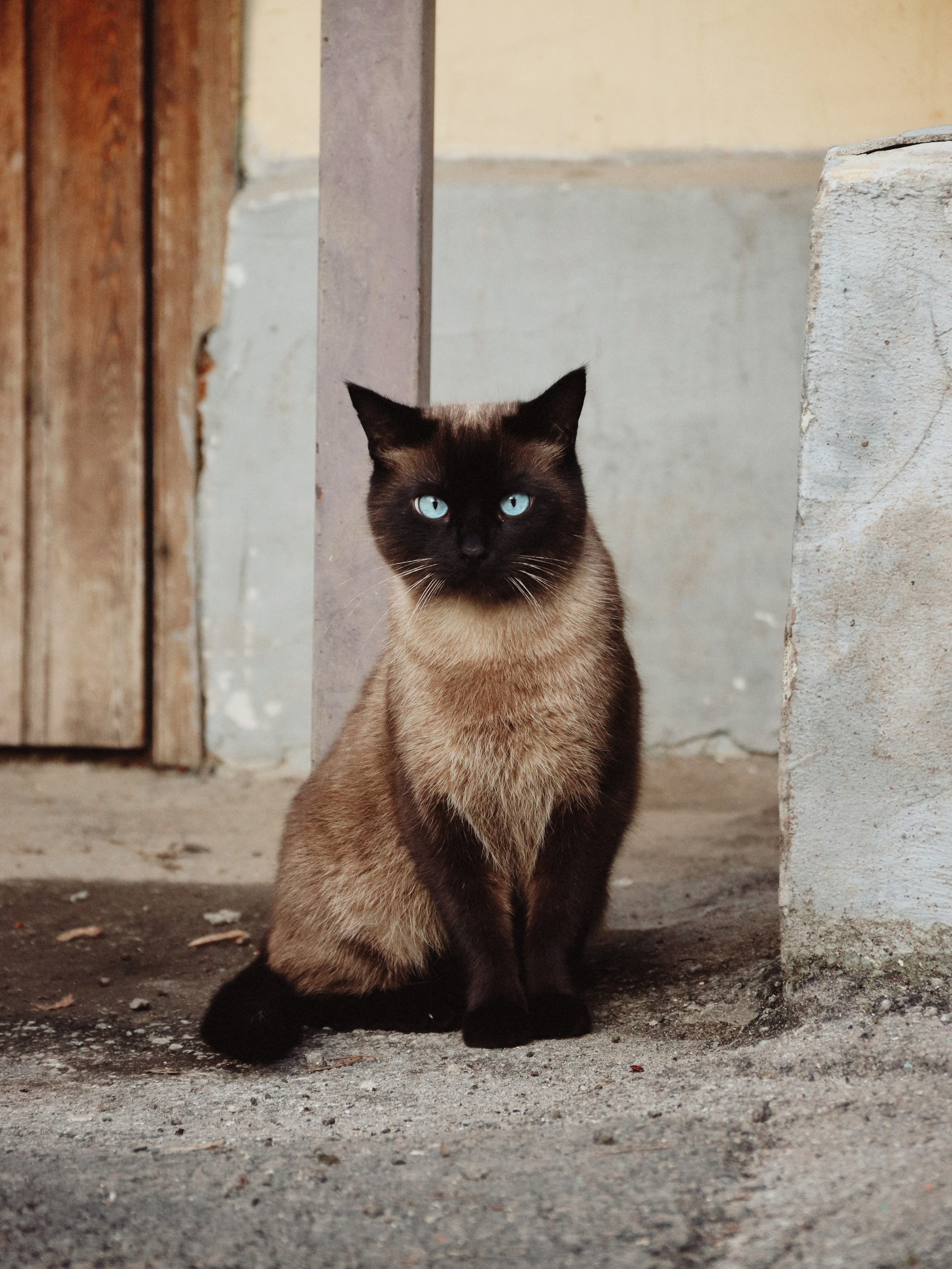 Уличные модели. С любовью, фотохудожник