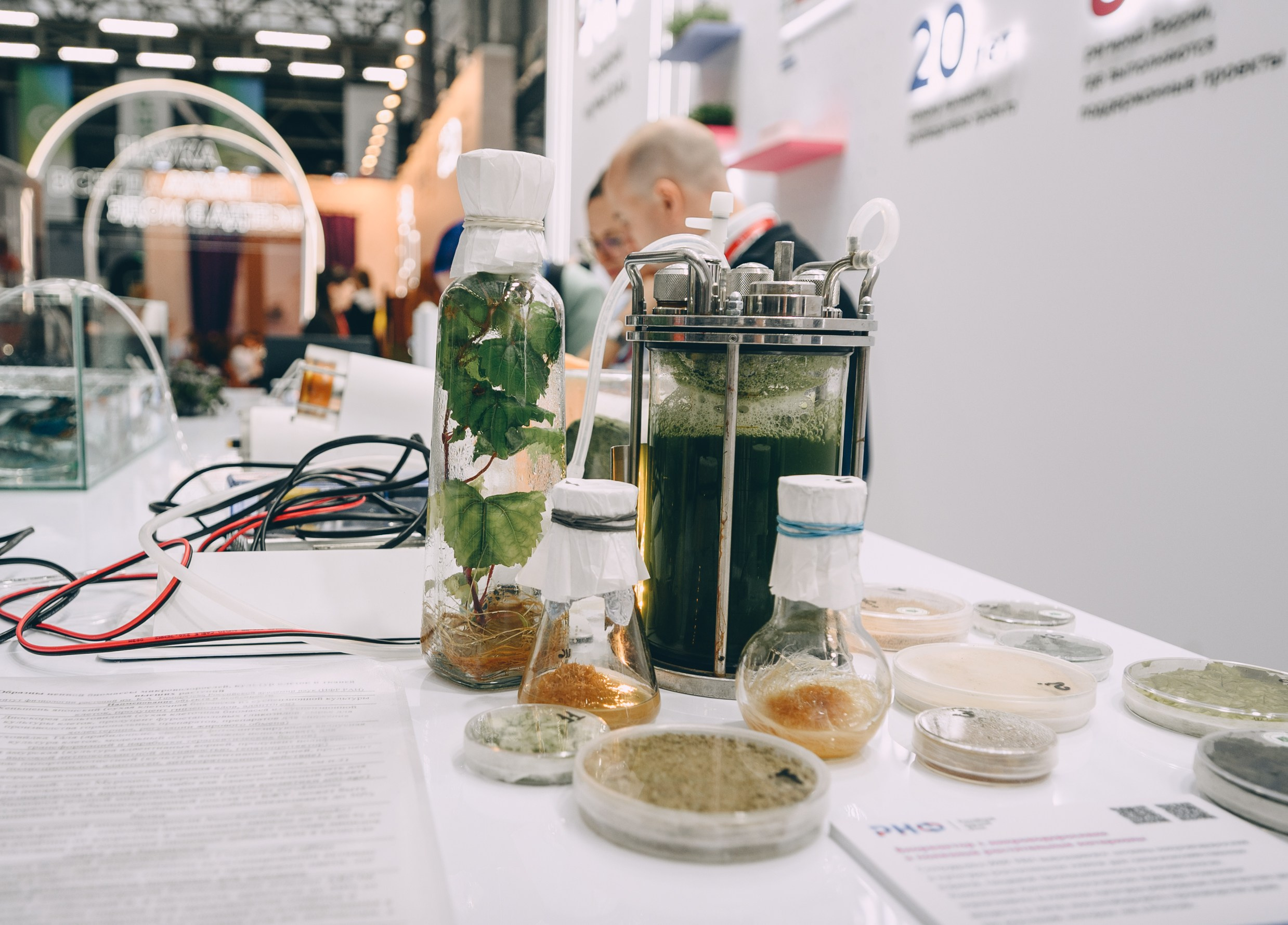 V Конгресс молодых ученых 2025. Свадебный и семейный фотограф София Невская