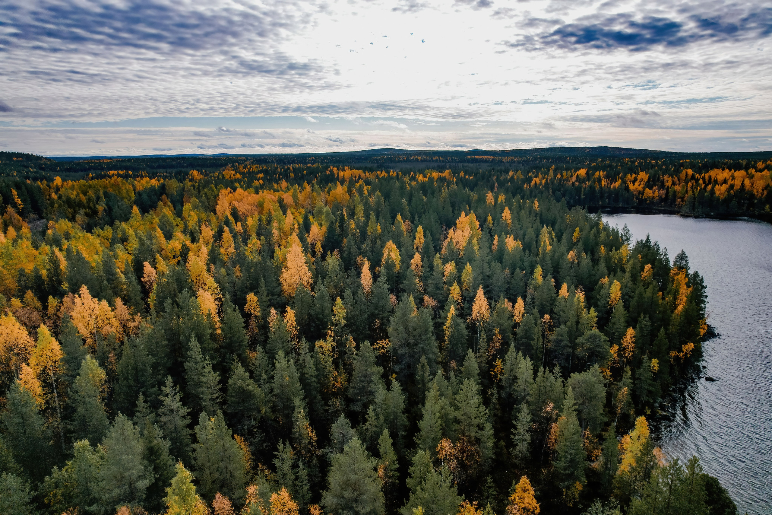 СЕВЕР. Event фотограф Степанова Александра