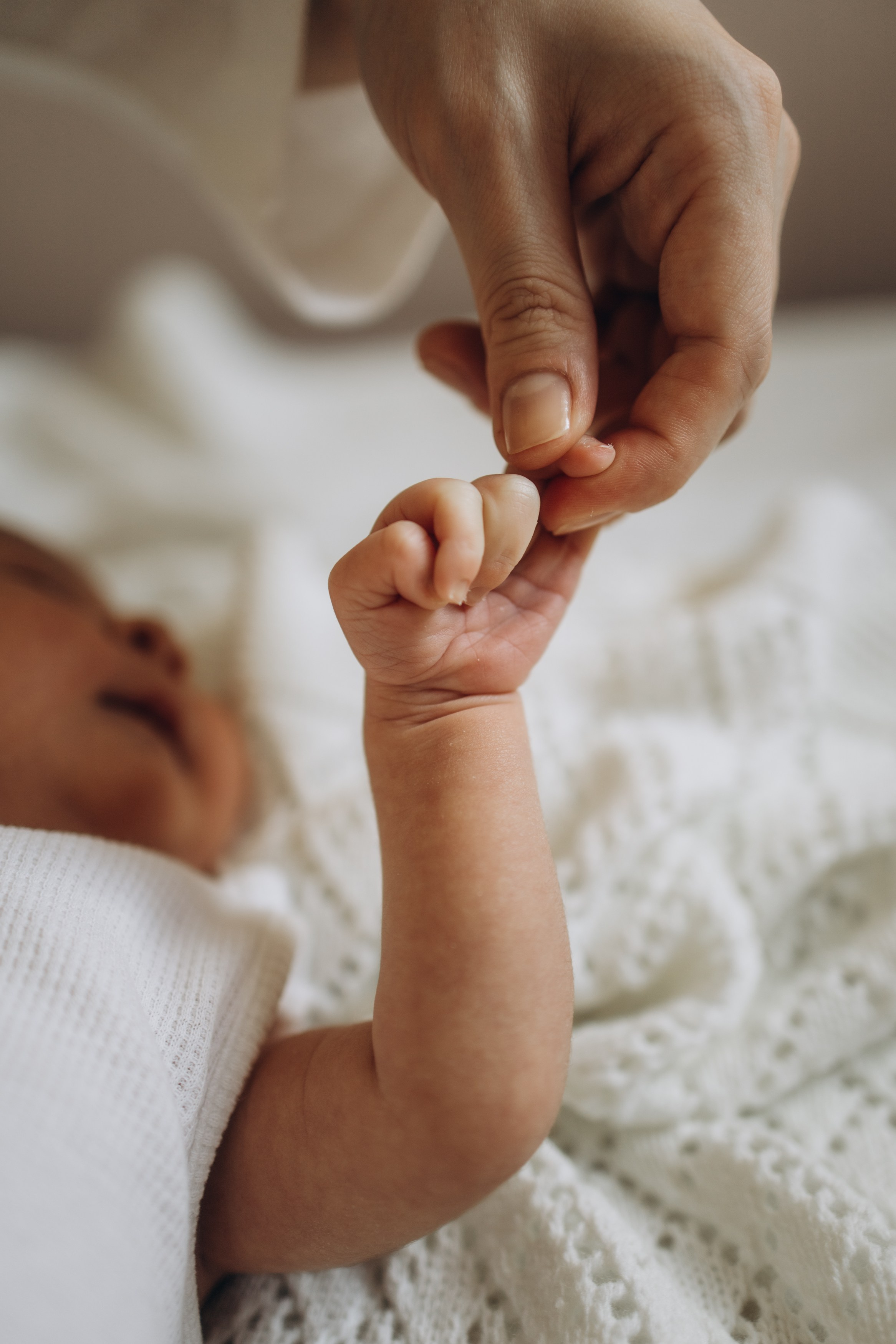 фотосессия новорожденного, фотосессия новорожденных, ньюборн, пушкин, павловск, спб, семейная фотосессия