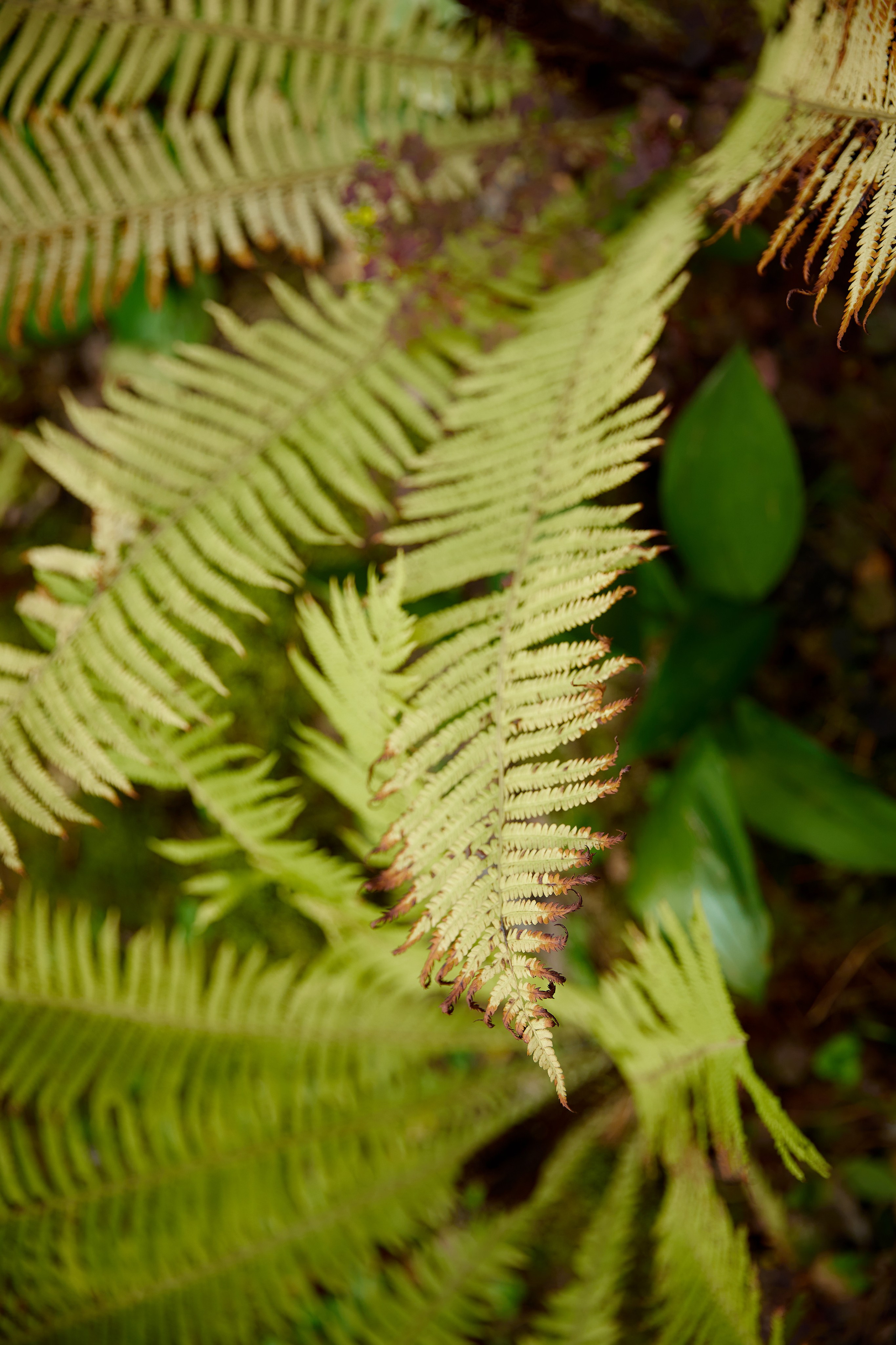 E&K. Профессиональный фотограф Светлана Писарева